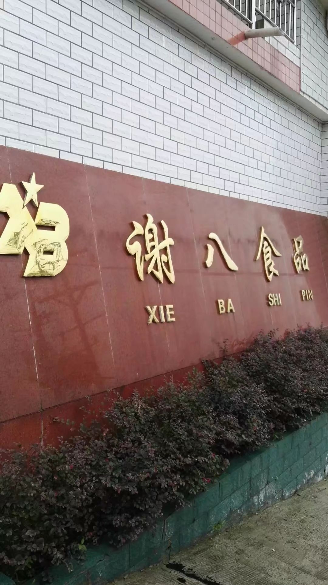 自贡市谢八食品有限公司