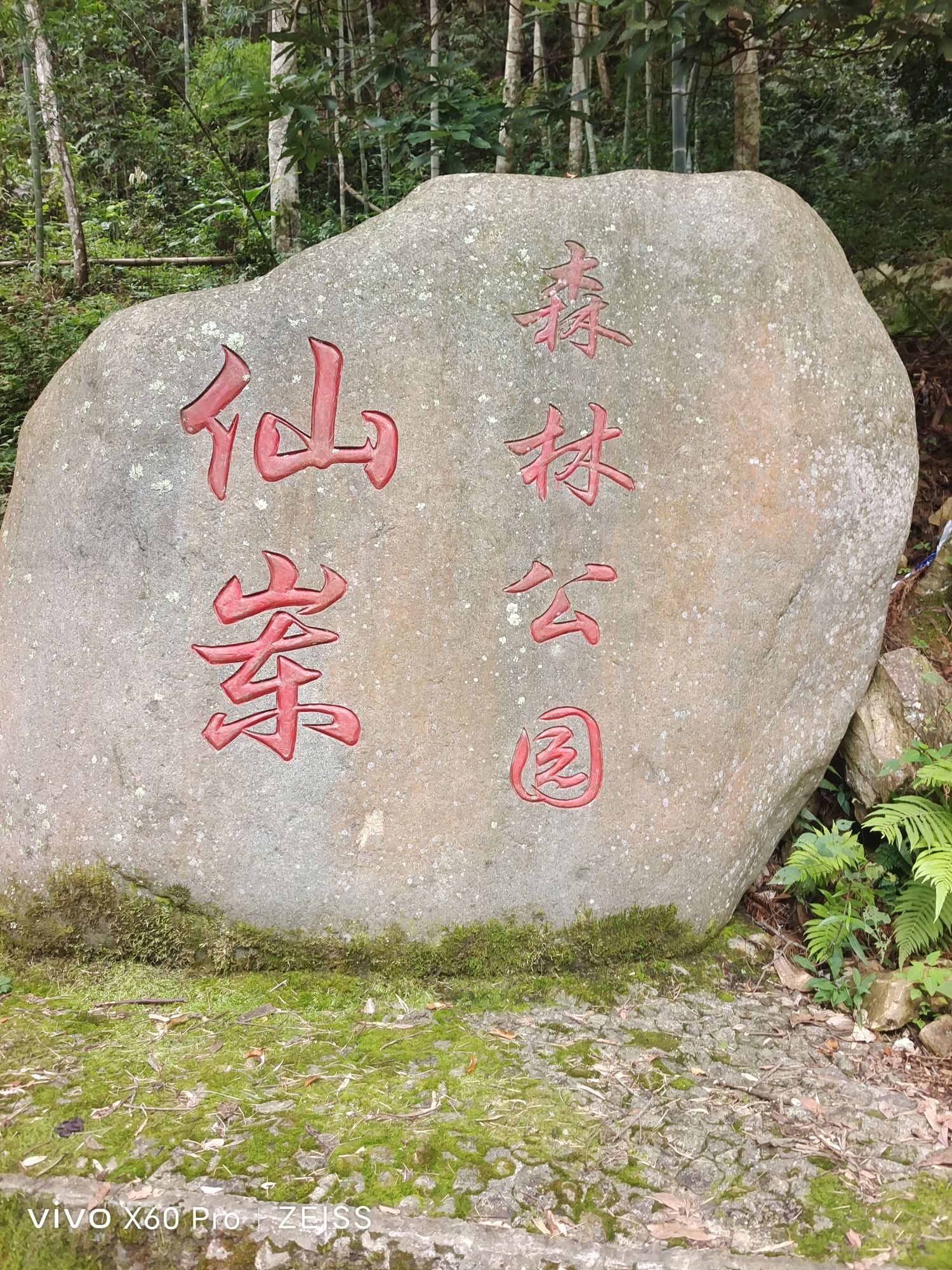 福建省永定仙岽省级森林公园旅行图片 1
