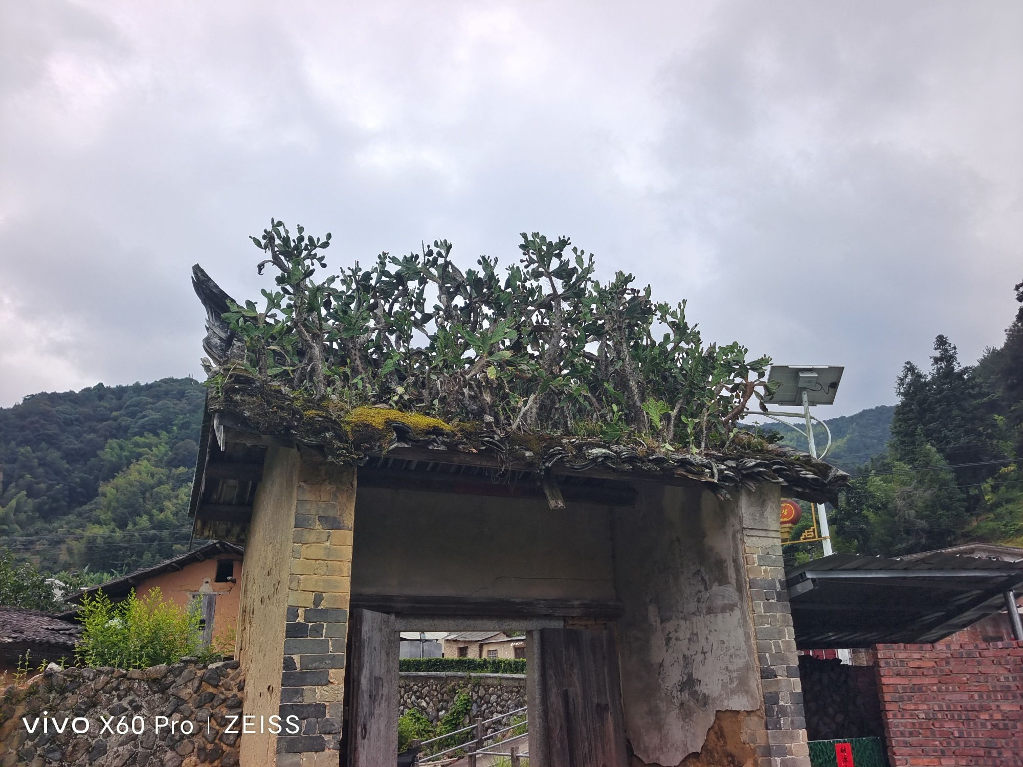 福建省永定仙岽省级森林公园旅行图片 2