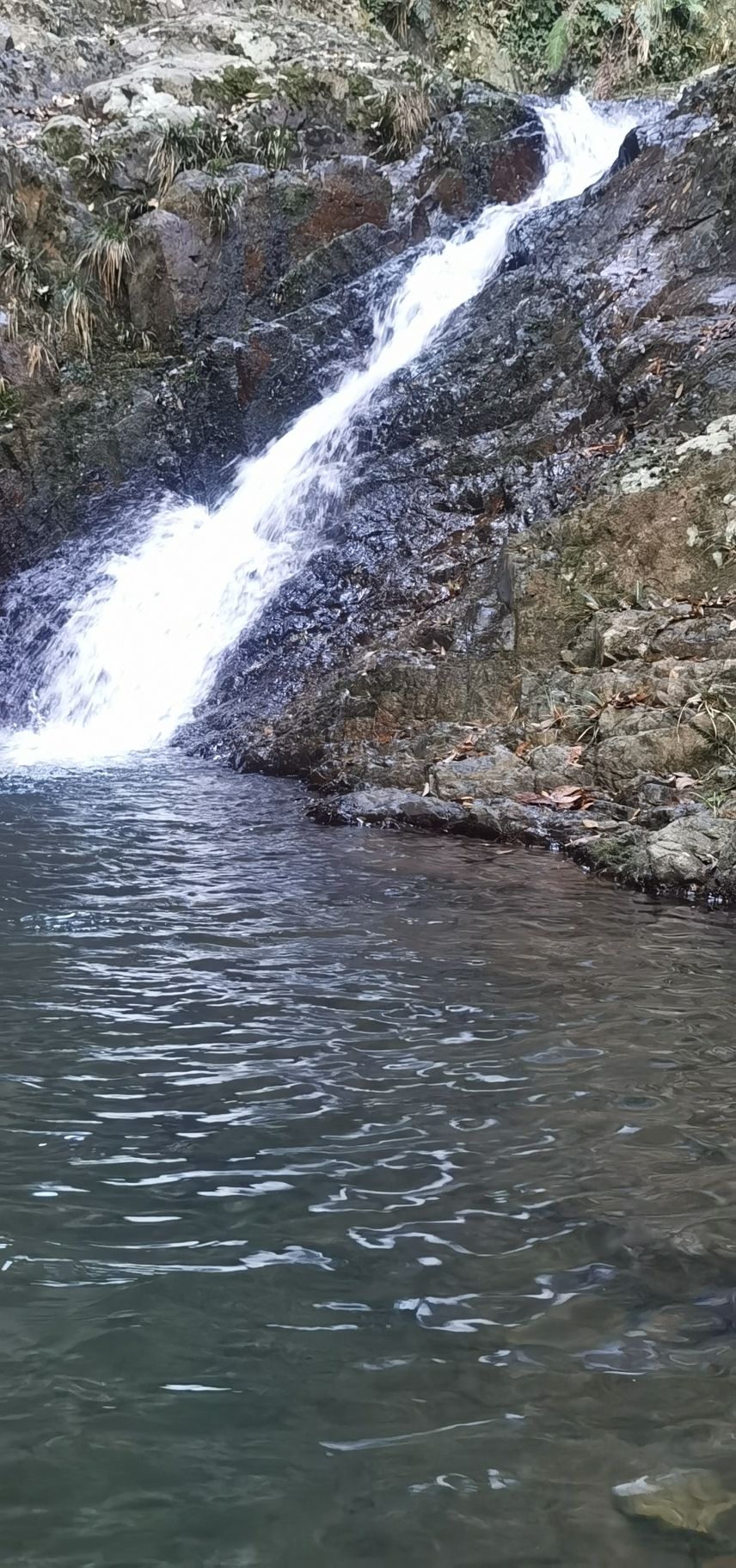 福建省永定仙岽省级森林公园旅行图片 3