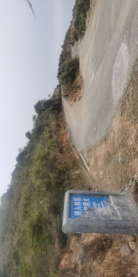 福建省永定仙岽省级森林公园旅行图片 2