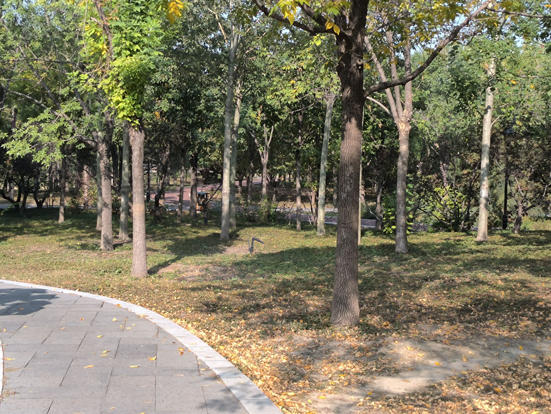 海港公园旅行图片 3