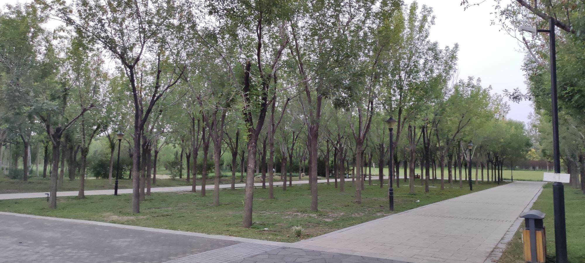 海港公园旅行图片 2