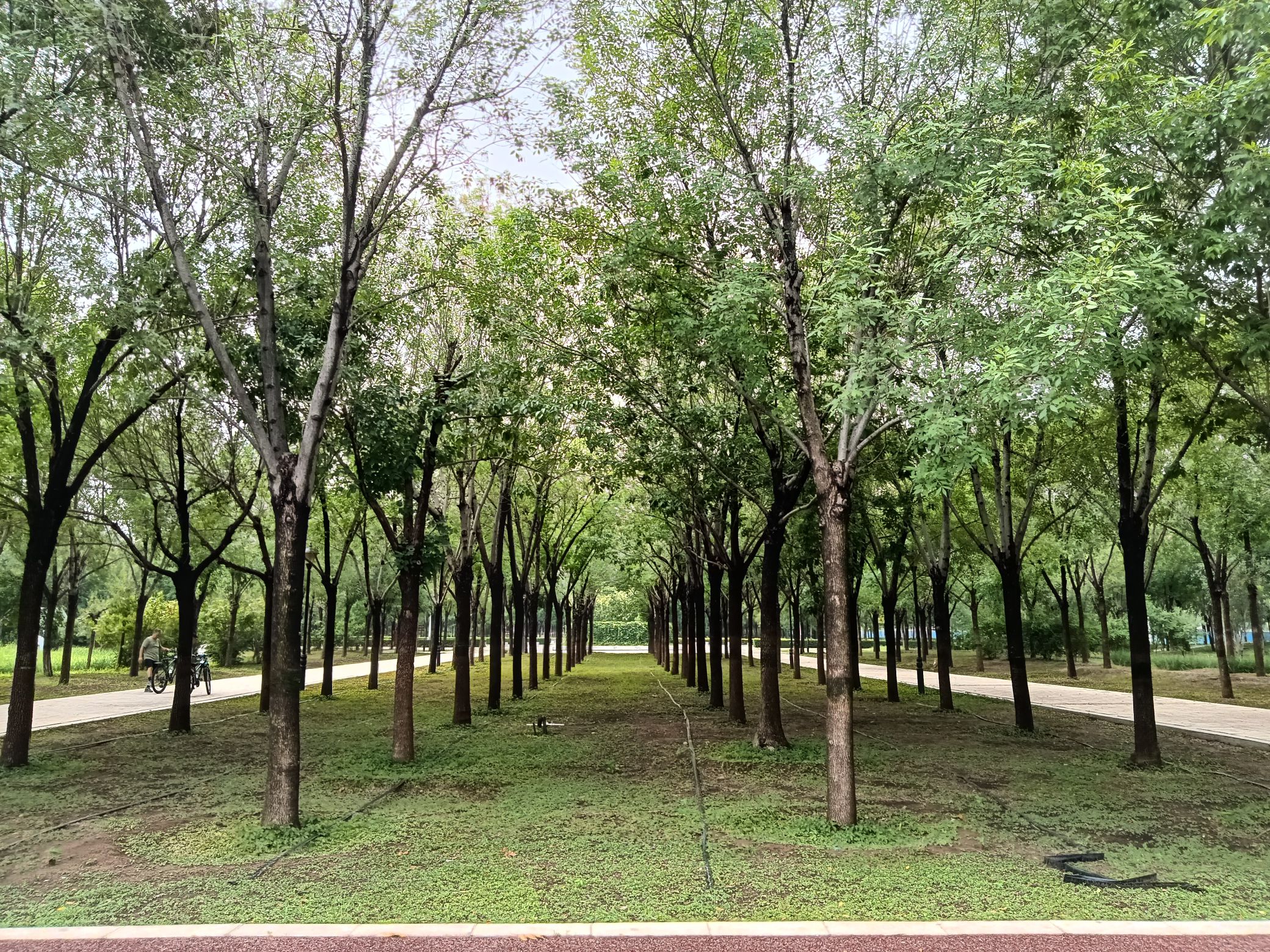 海港公园旅行图片 3
