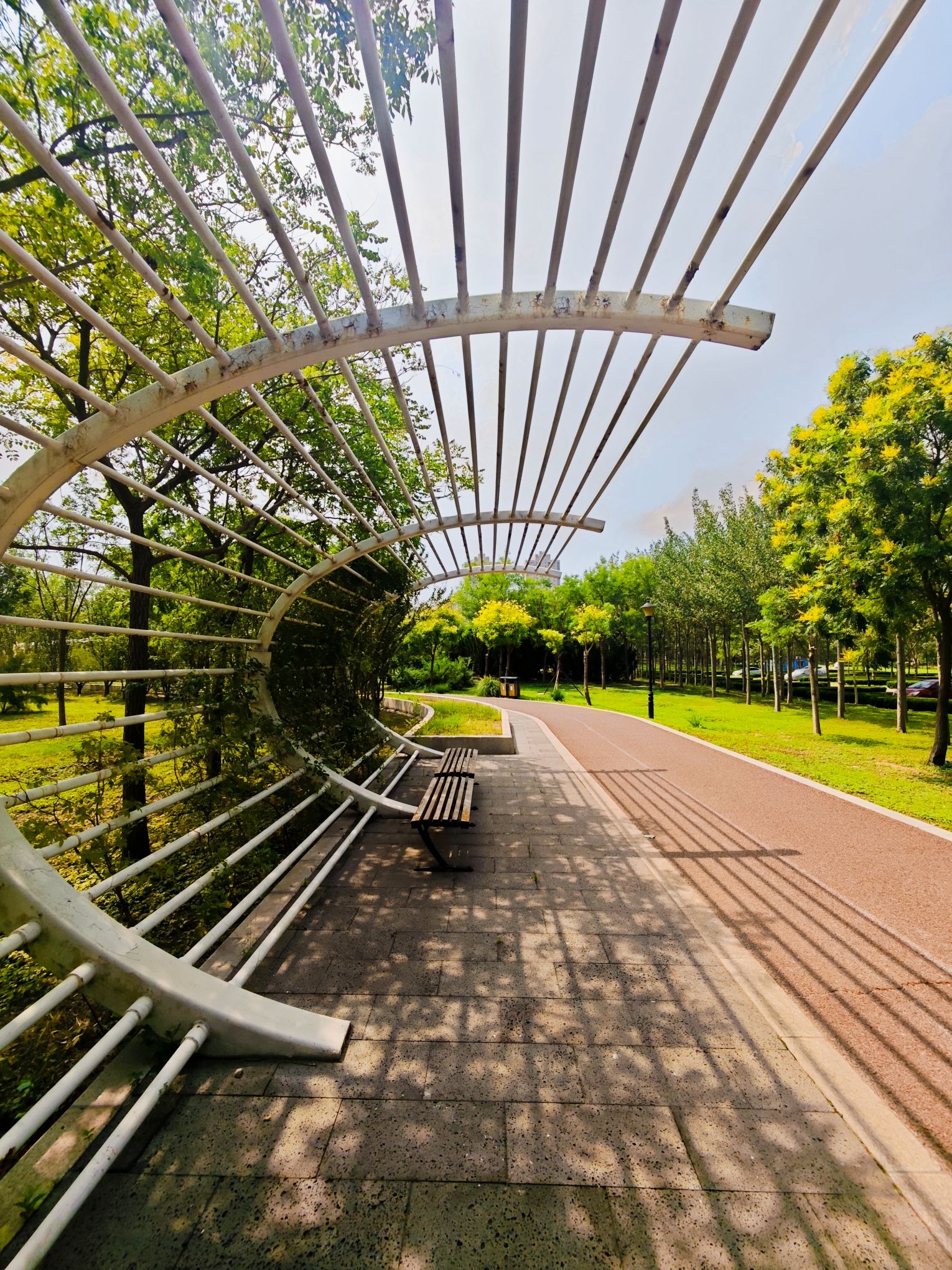 海港公园旅行图片 3