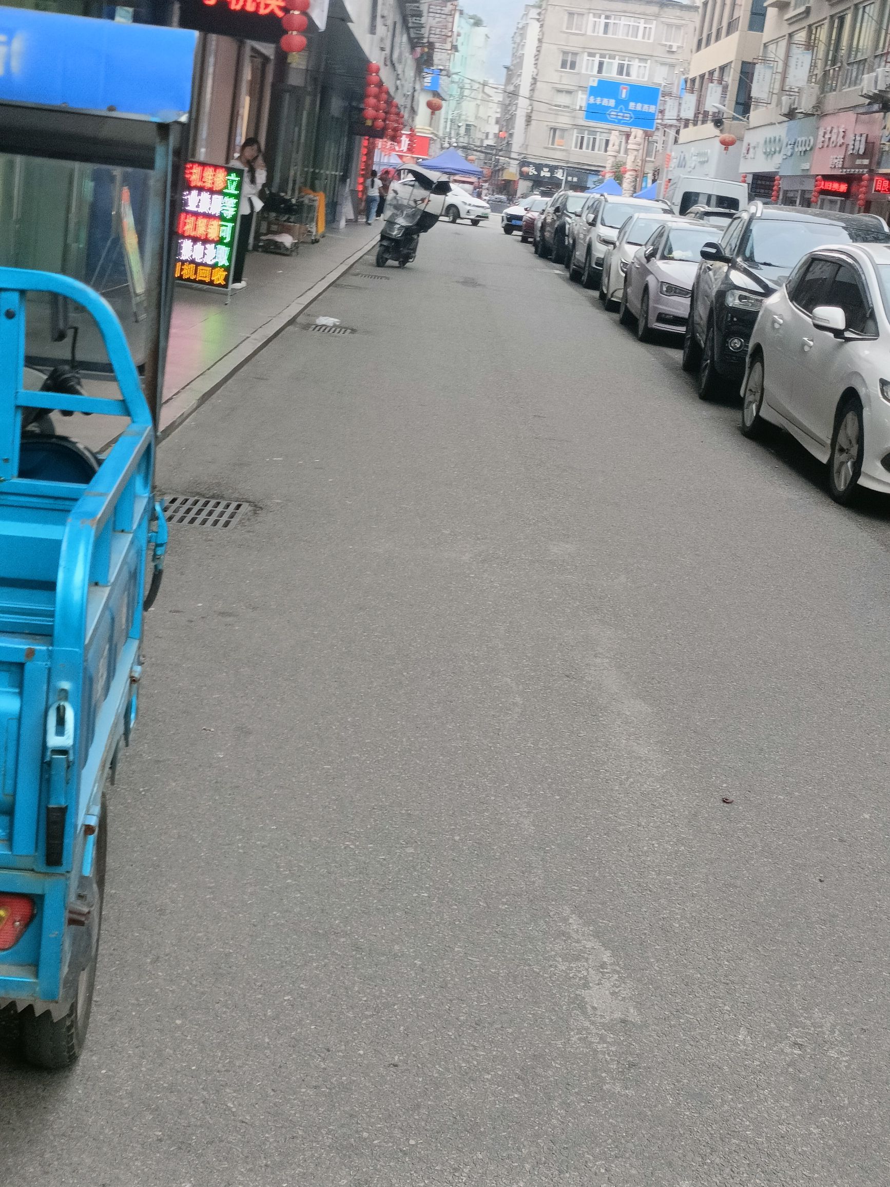 三甲大树旅行图片 3