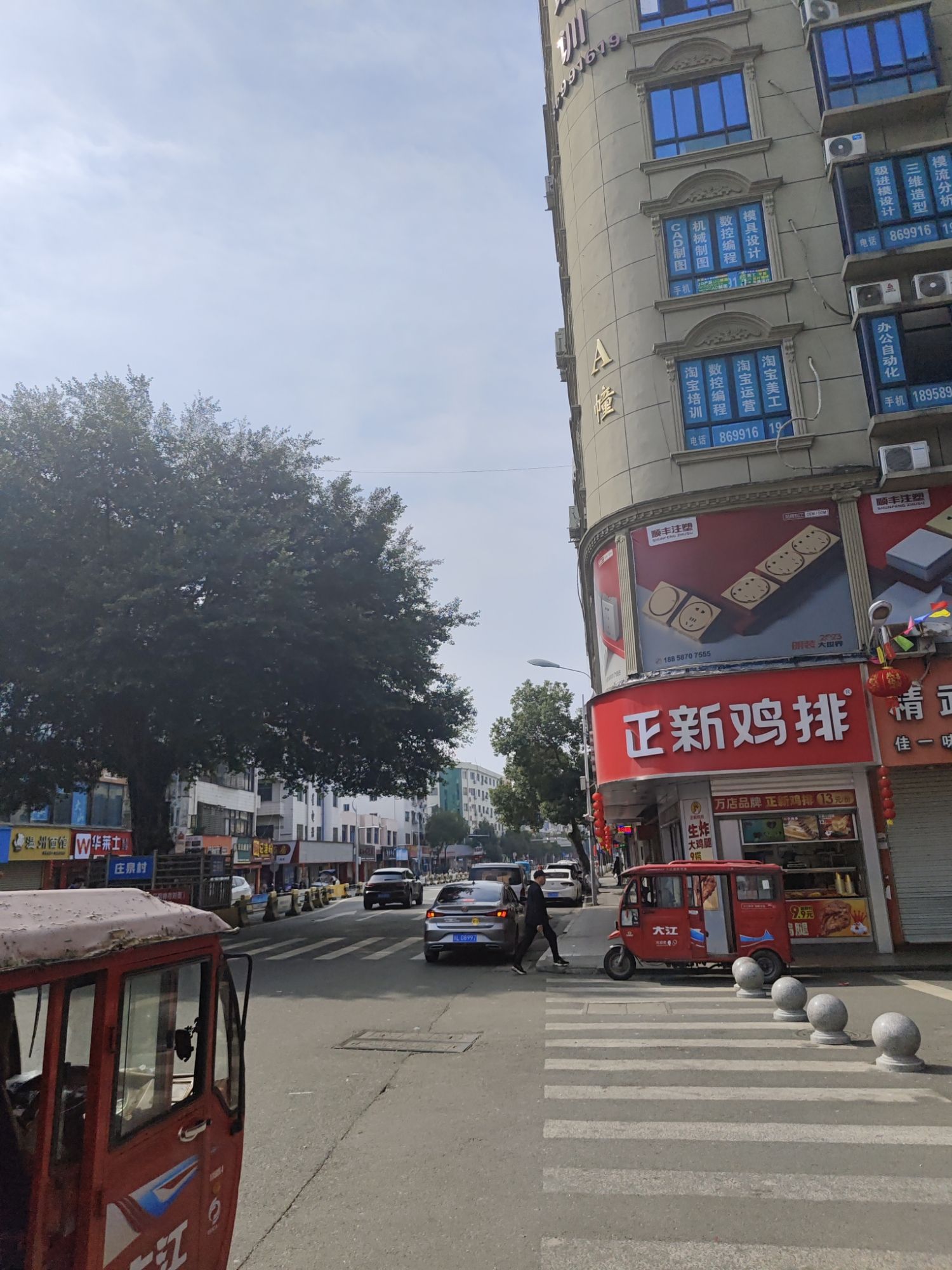三甲大树旅行图片 3