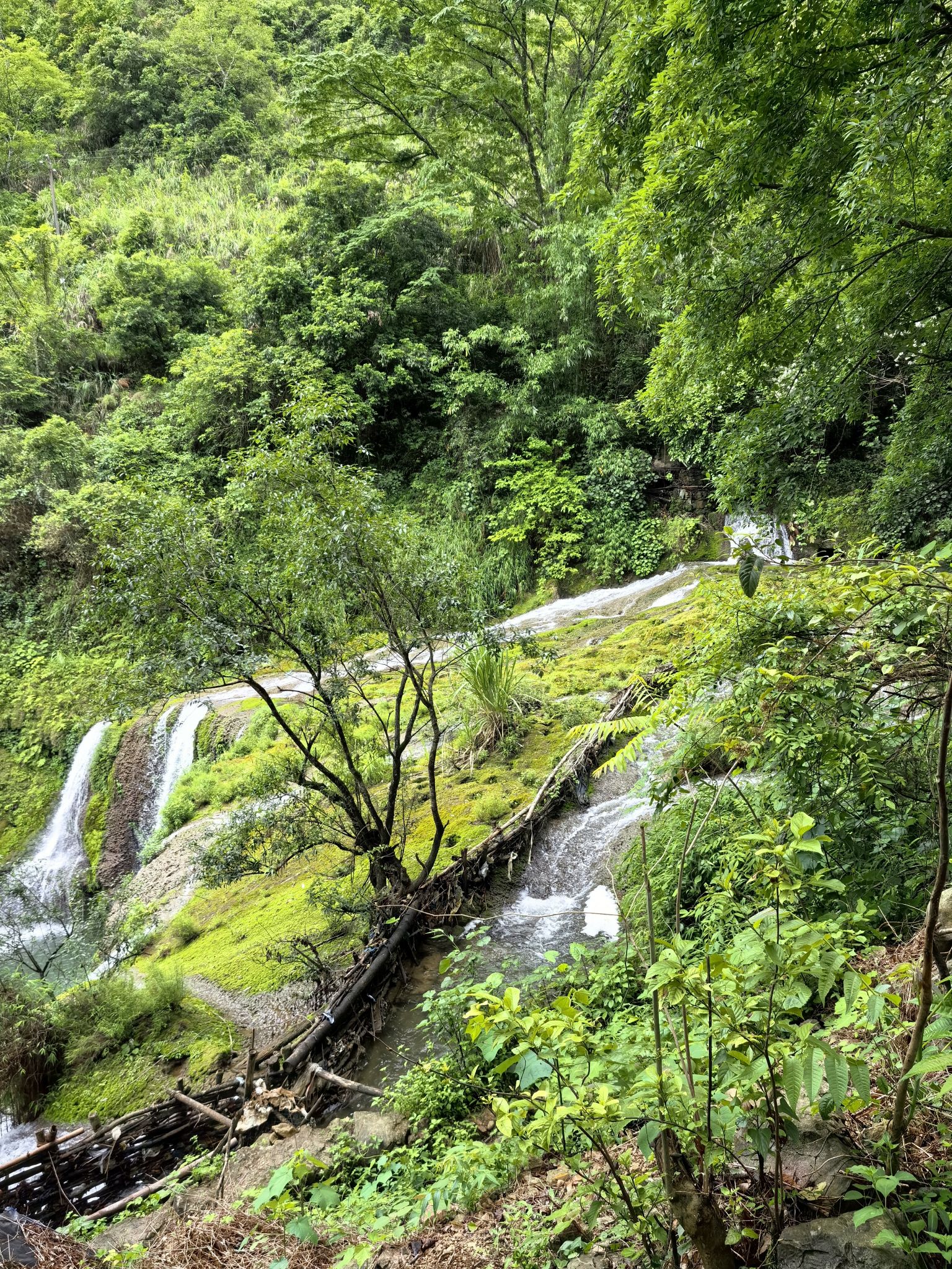二郎瀑布旅行图片 3