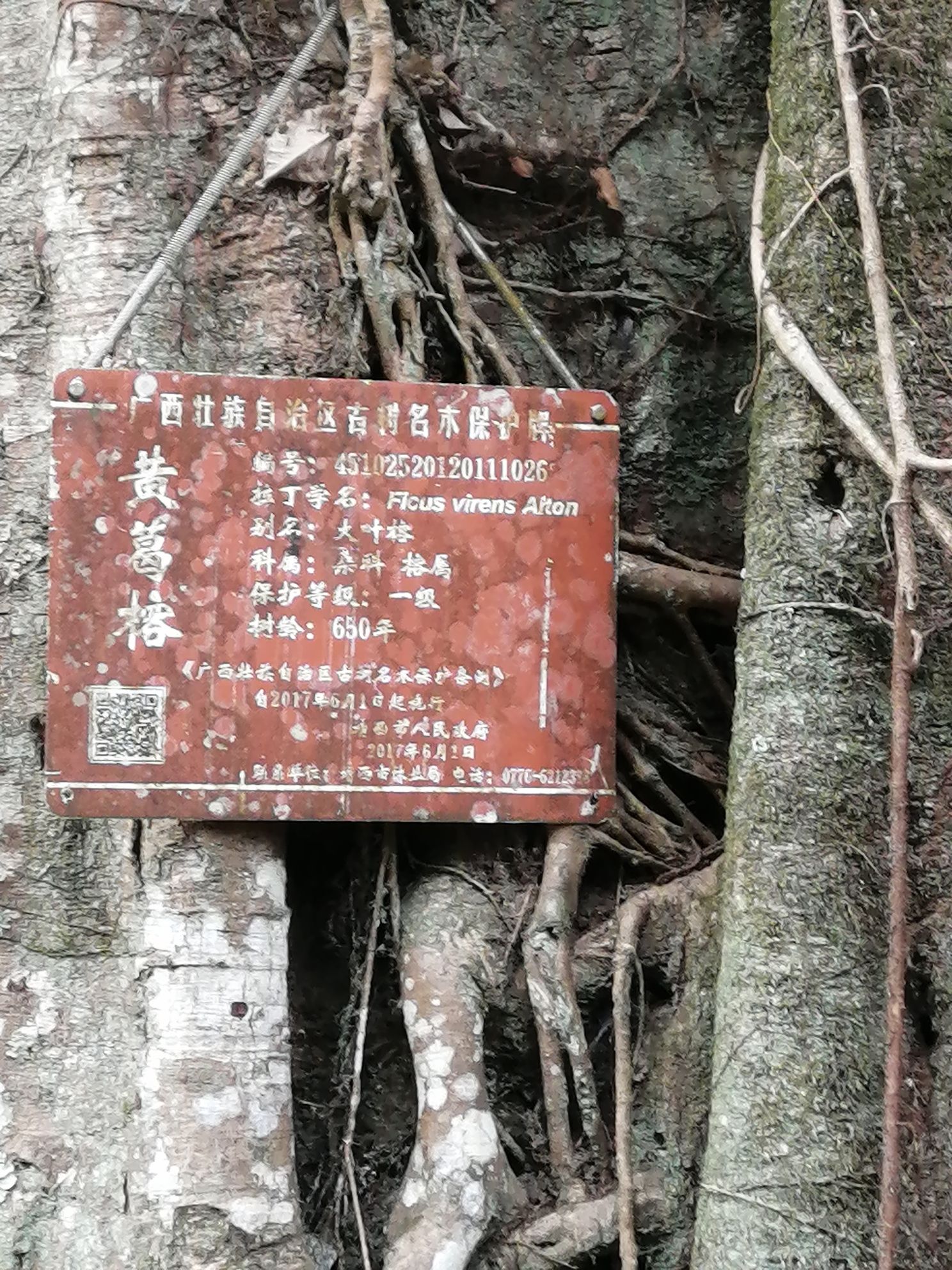 二郎瀑布旅行图片 3