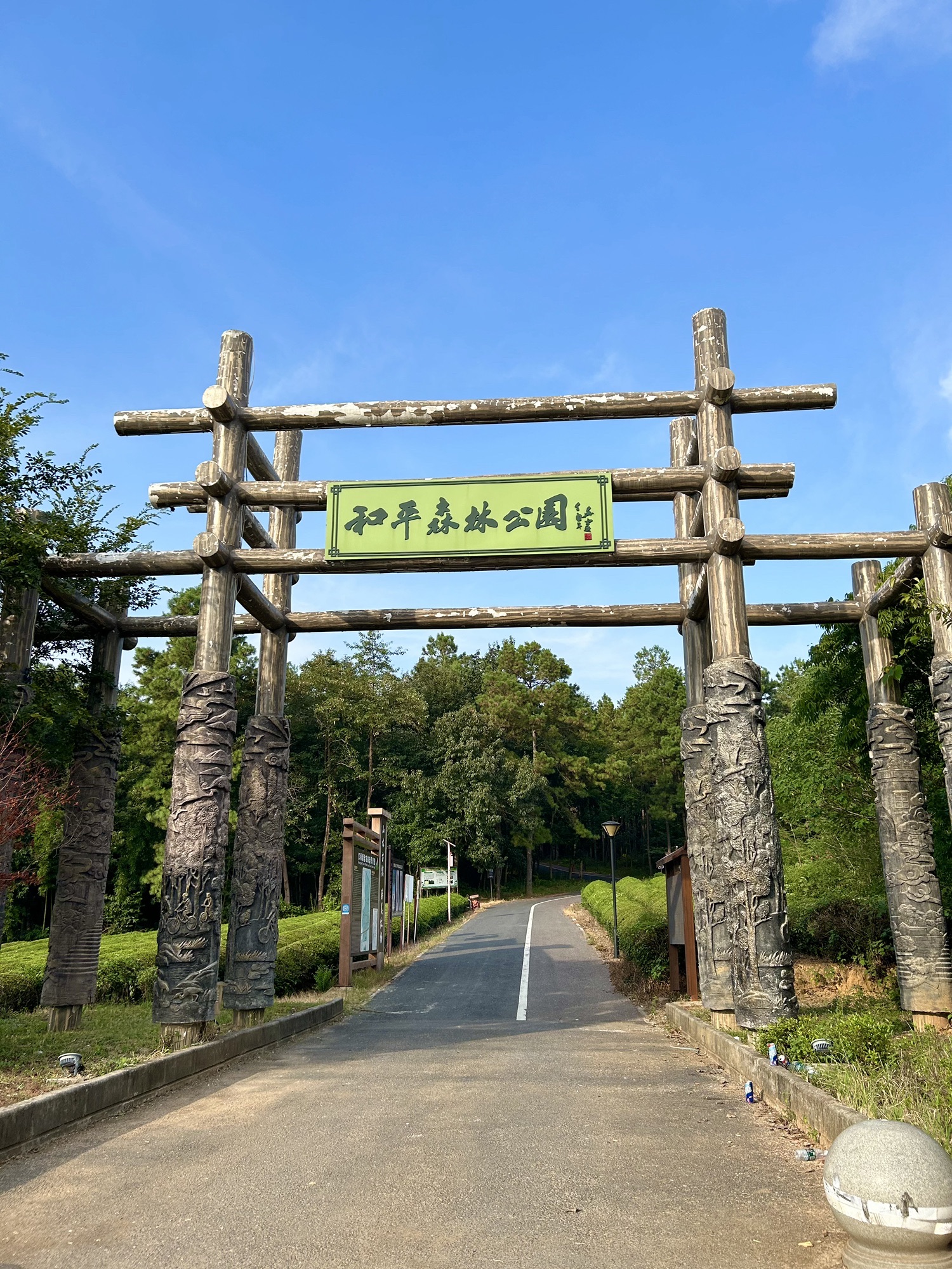 红杨镇和平森林公园旅行图片 1