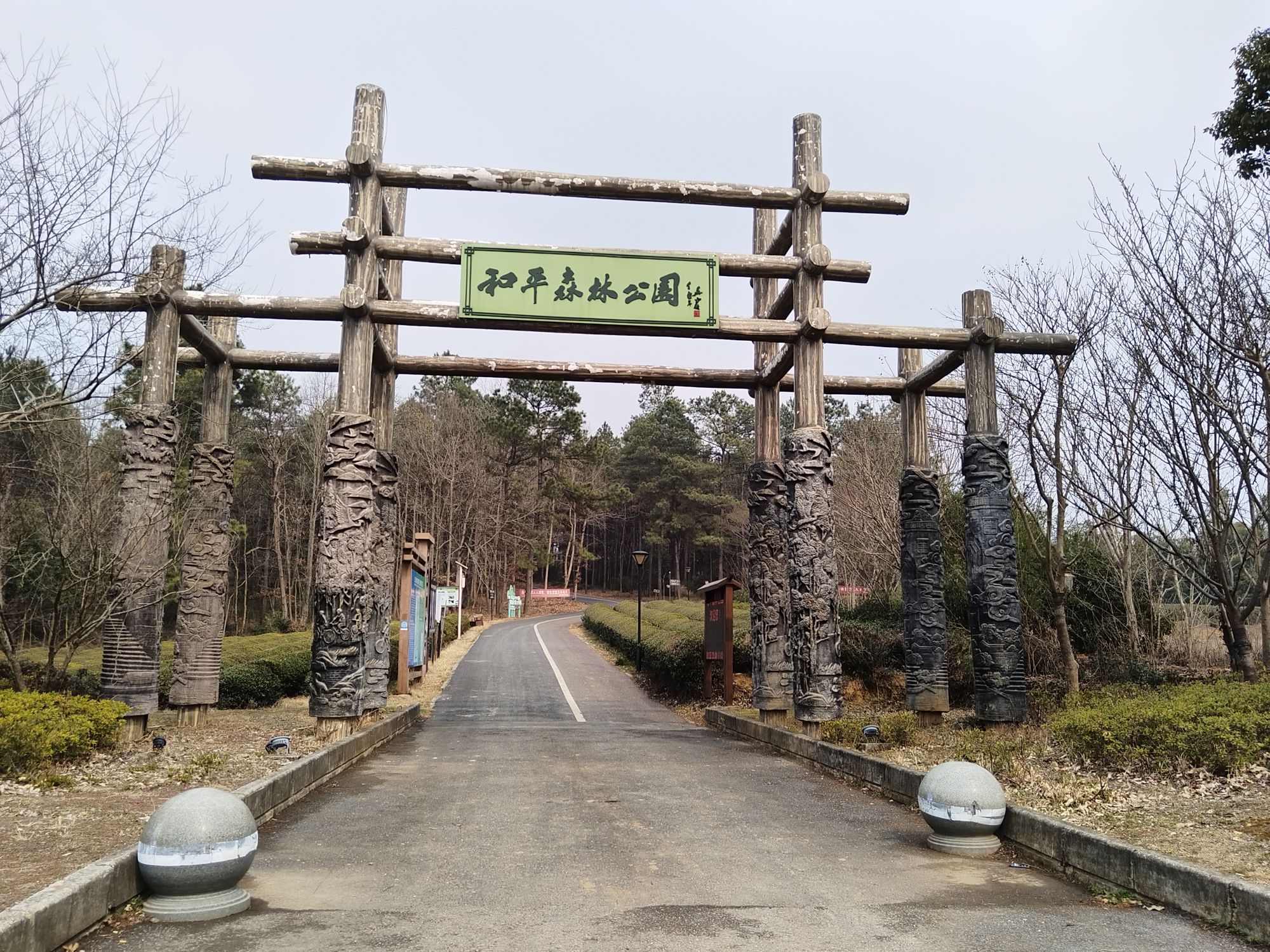 红杨镇和平森林公园旅行图片 1