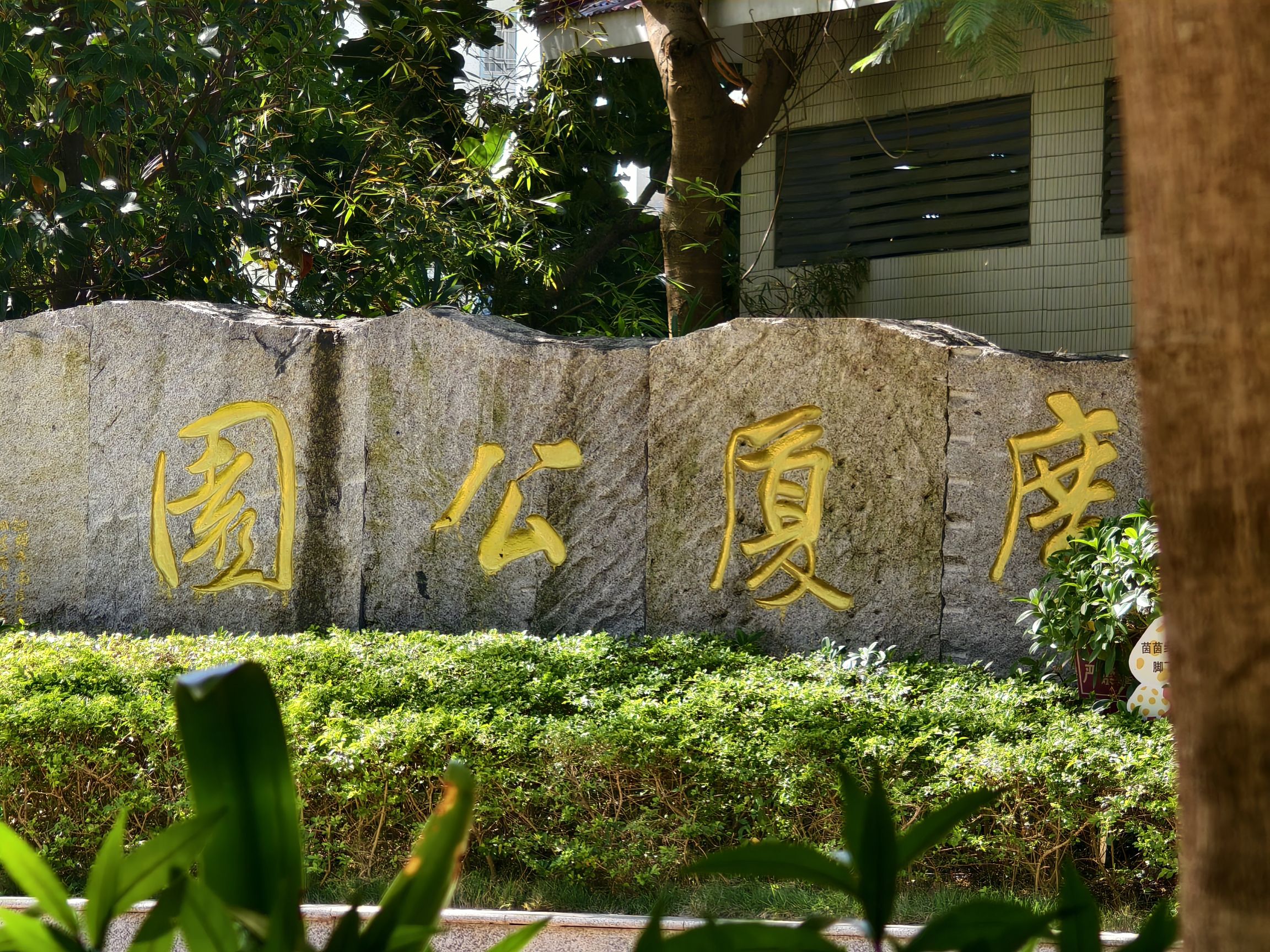 广厦公园旅行图片 2