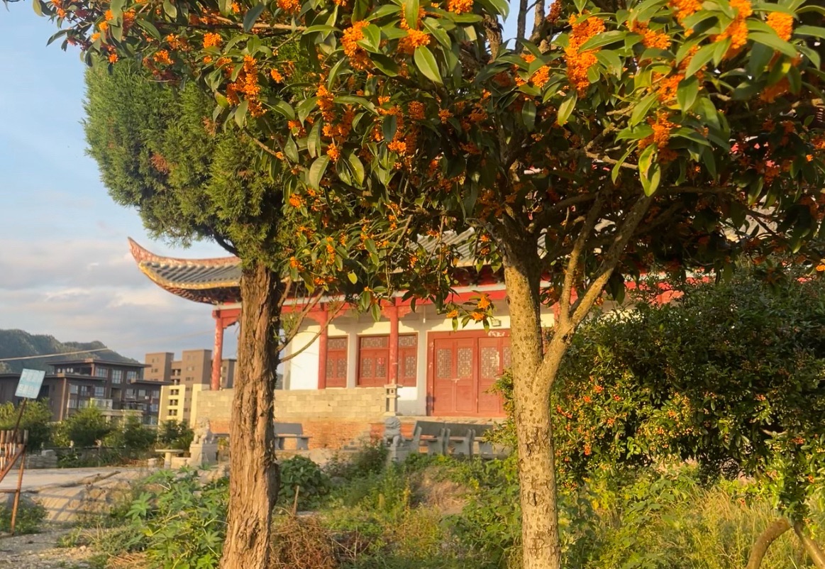 法应寺实景照片
