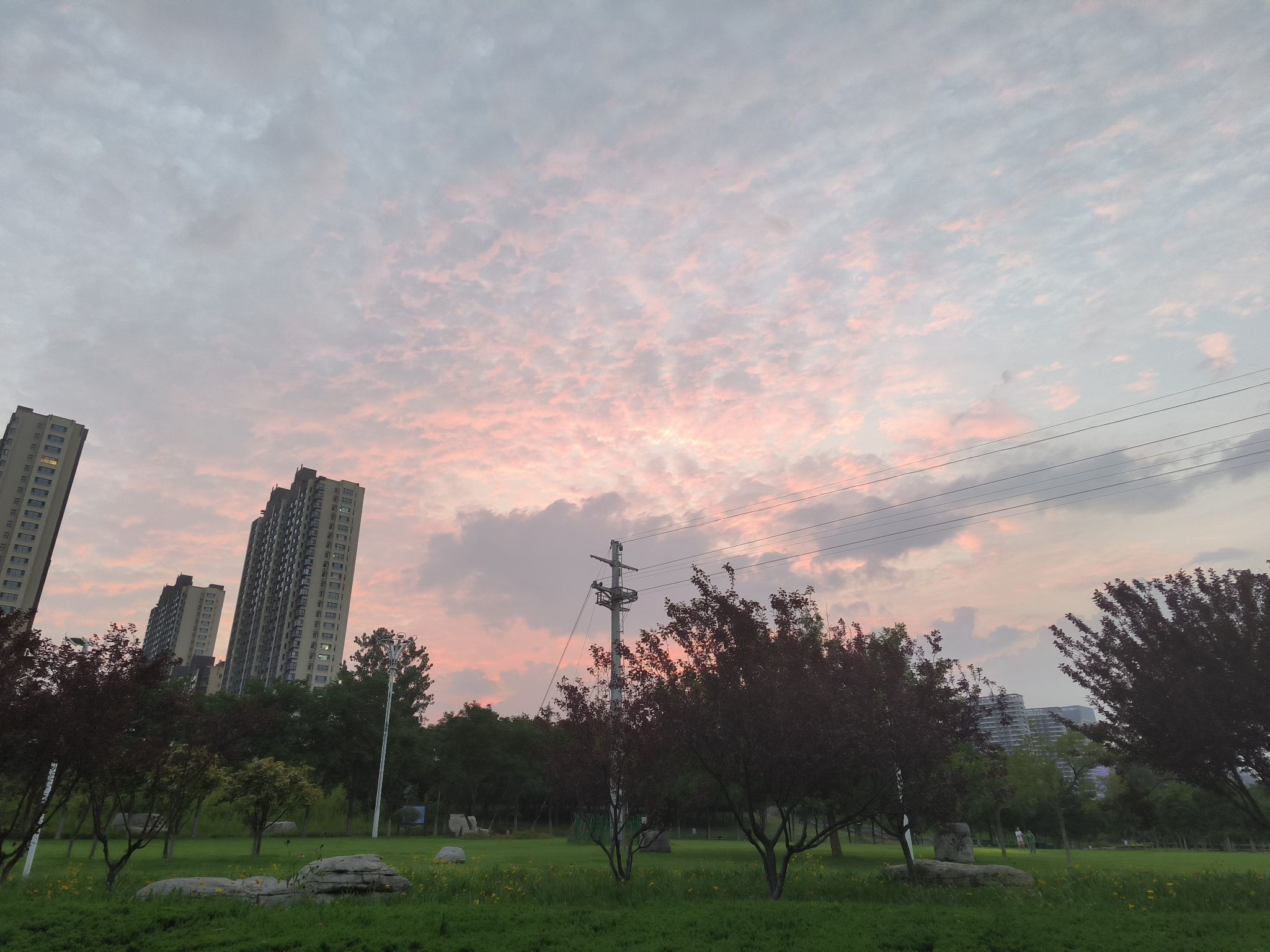 青啤文化广场旅行图片 2