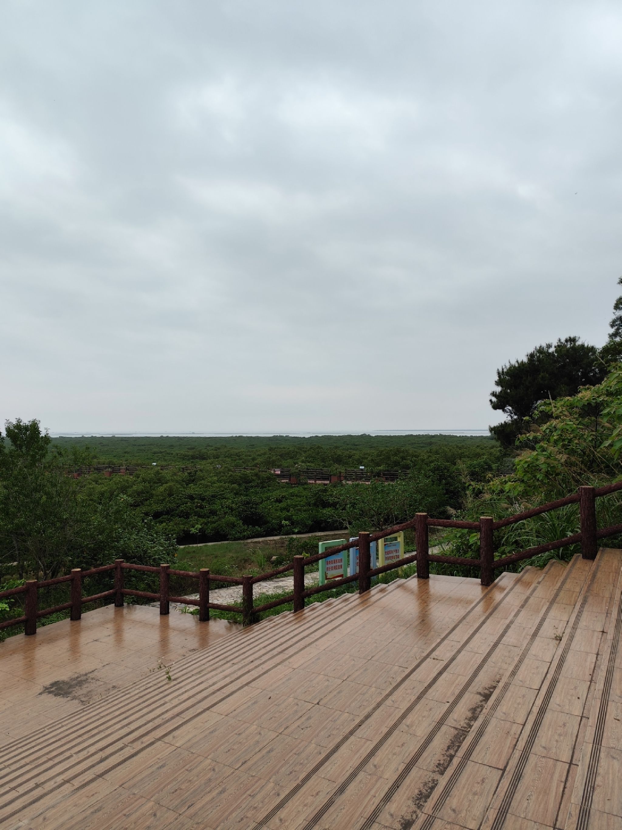 防城港市江山乡石角村珍珠湾红树林保护区旅行图片 1