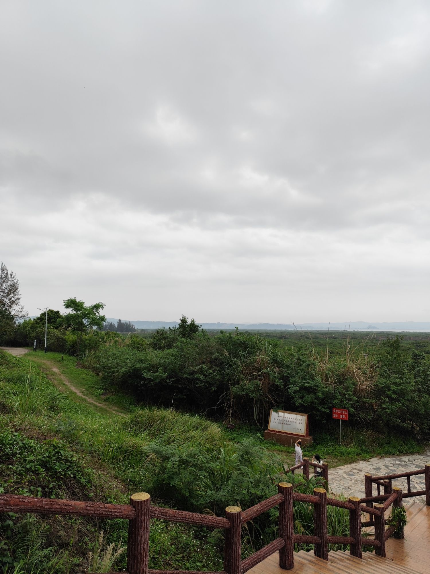 防城港市江山乡石角村珍珠湾红树林保护区旅行图片 2