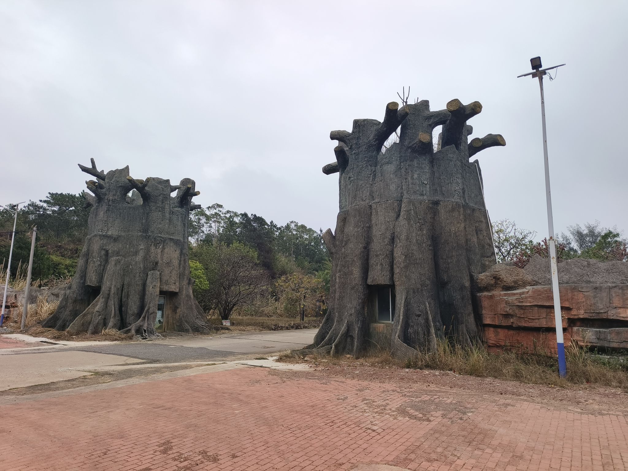 防城港市江山乡石角村珍珠湾红树林保护区旅行图片 1