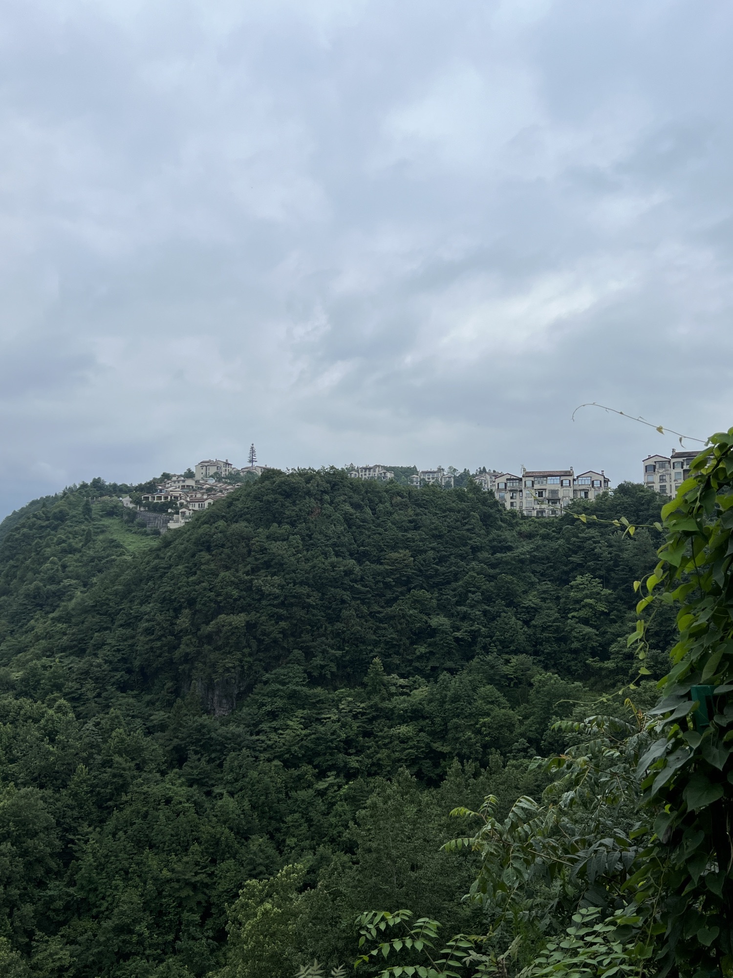 悬崖观景平台旅行图片 3