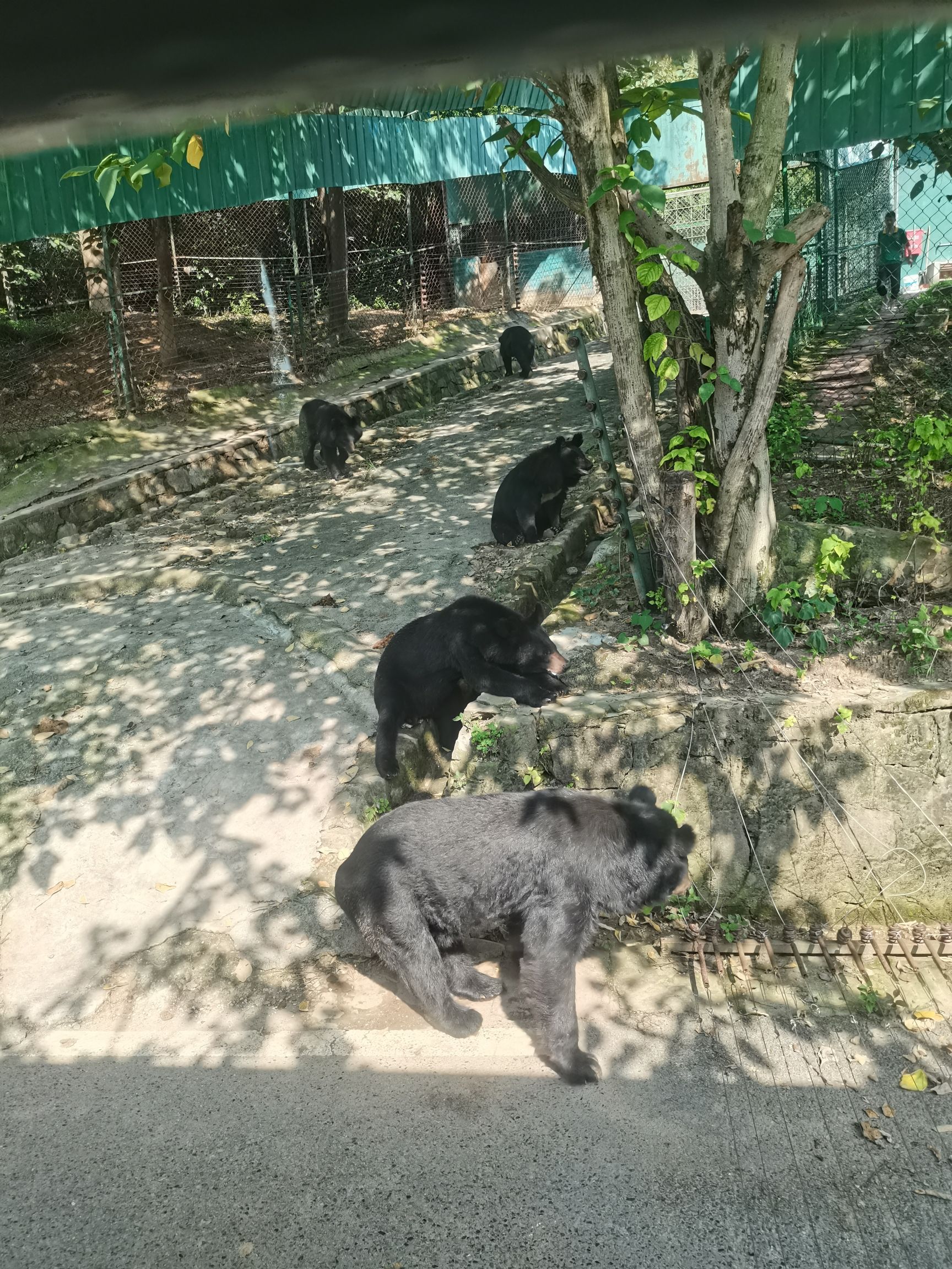 悬崖观景平台旅行图片 3