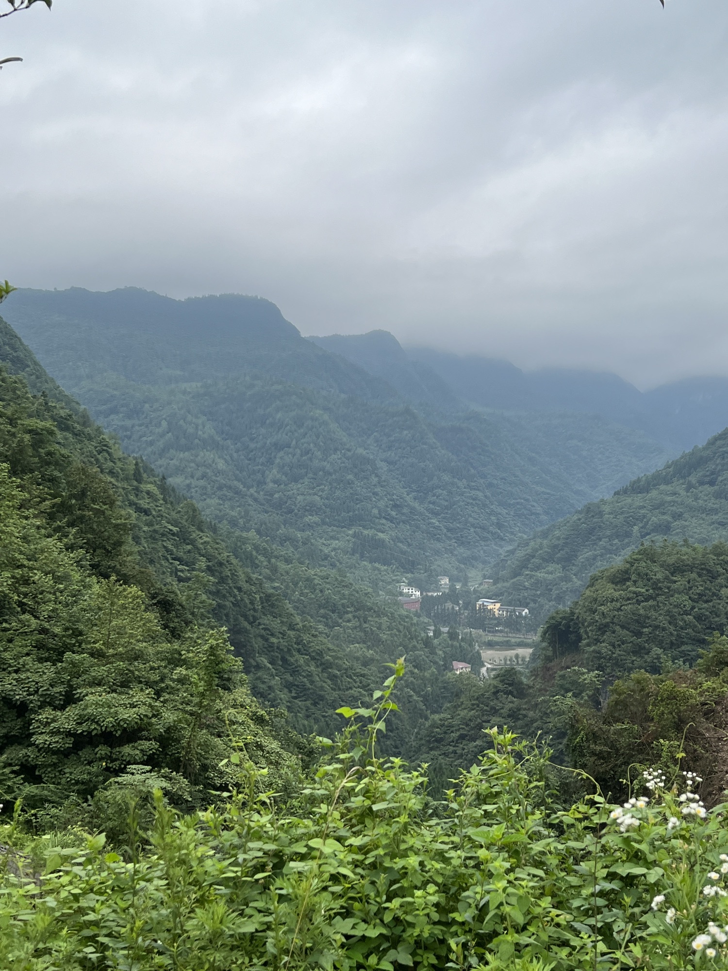 悬崖观景平台旅行图片 1