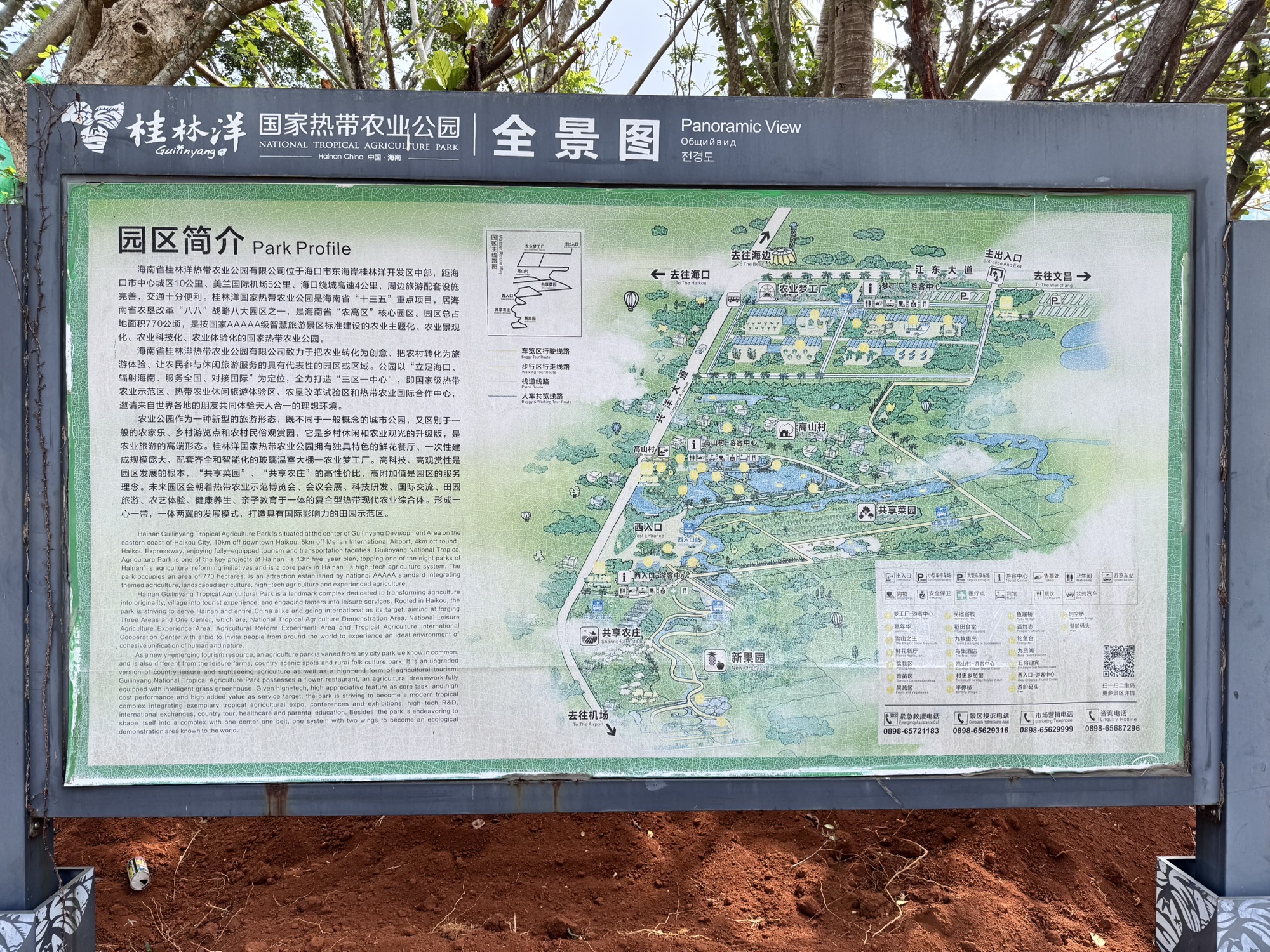 桂林洋国家热带农业公园旅行图片 1
