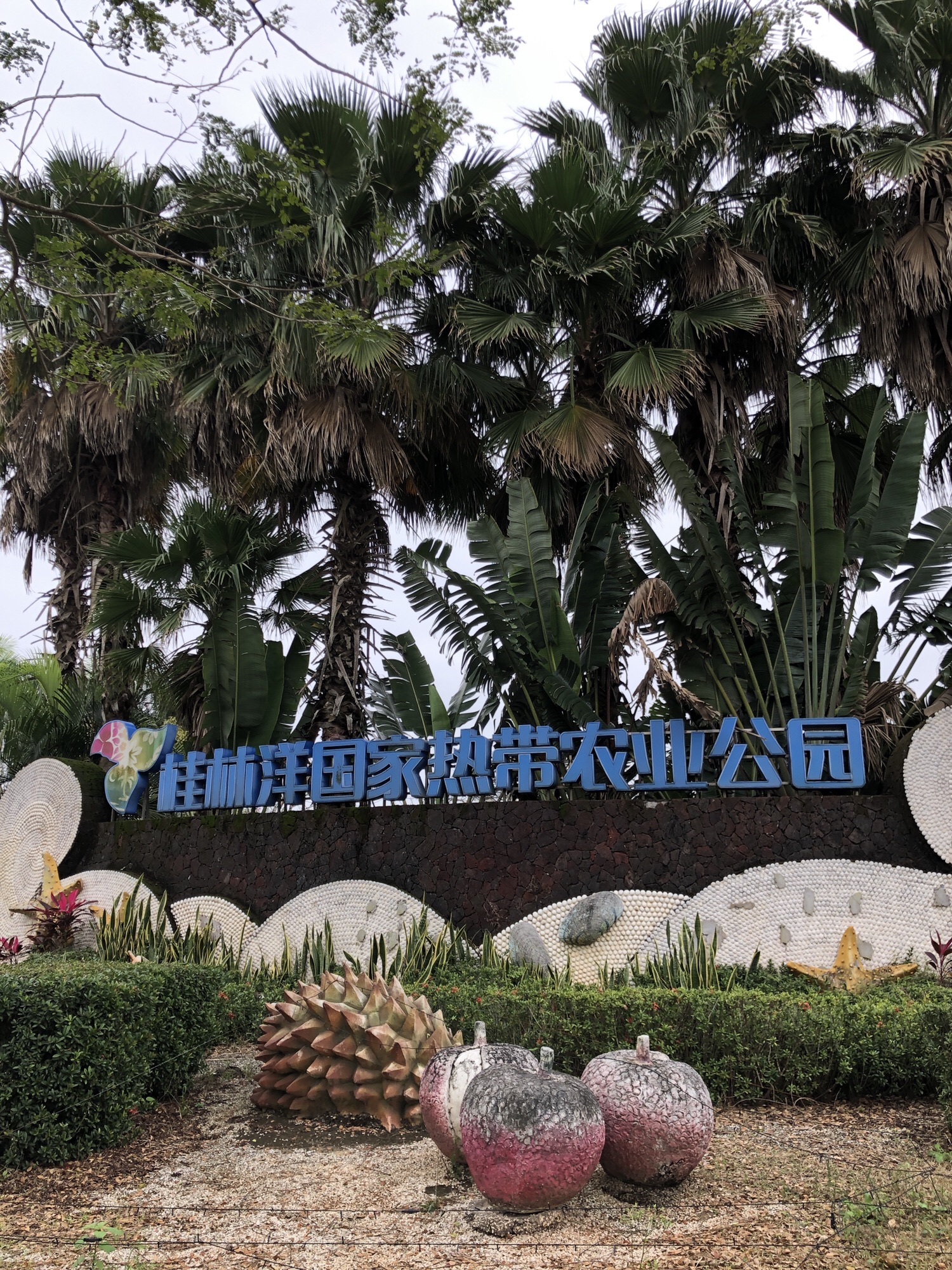 桂林洋国家热带农业公园旅行图片 1