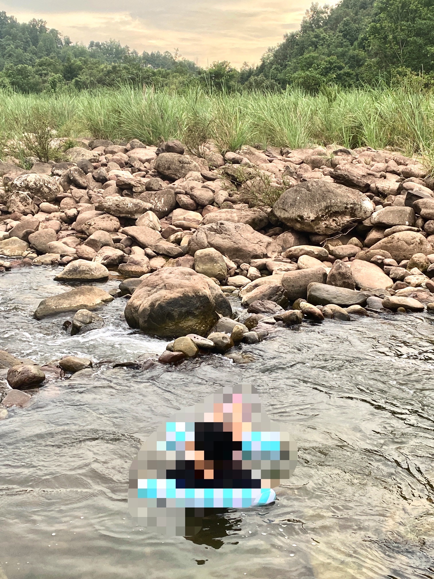 芦苇草堂旅行图片 2