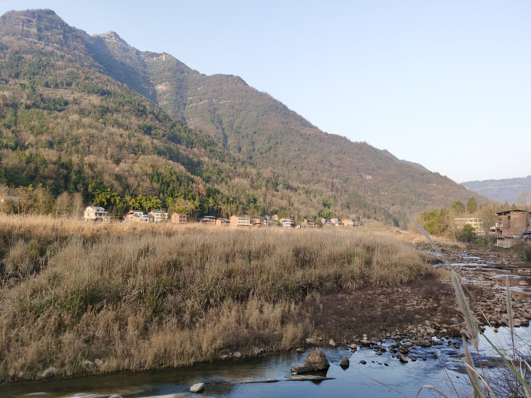 芦苇草堂旅行图片 1