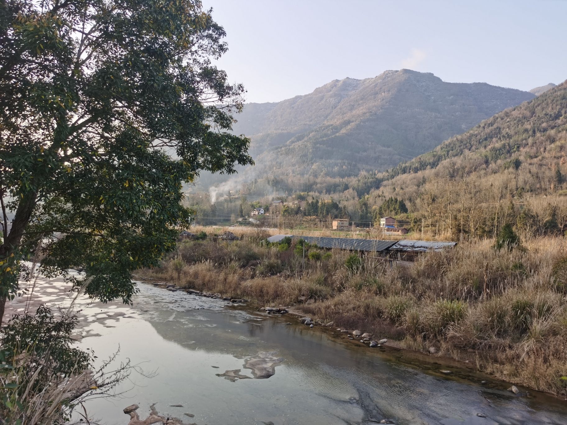 芦苇草堂旅行图片 3