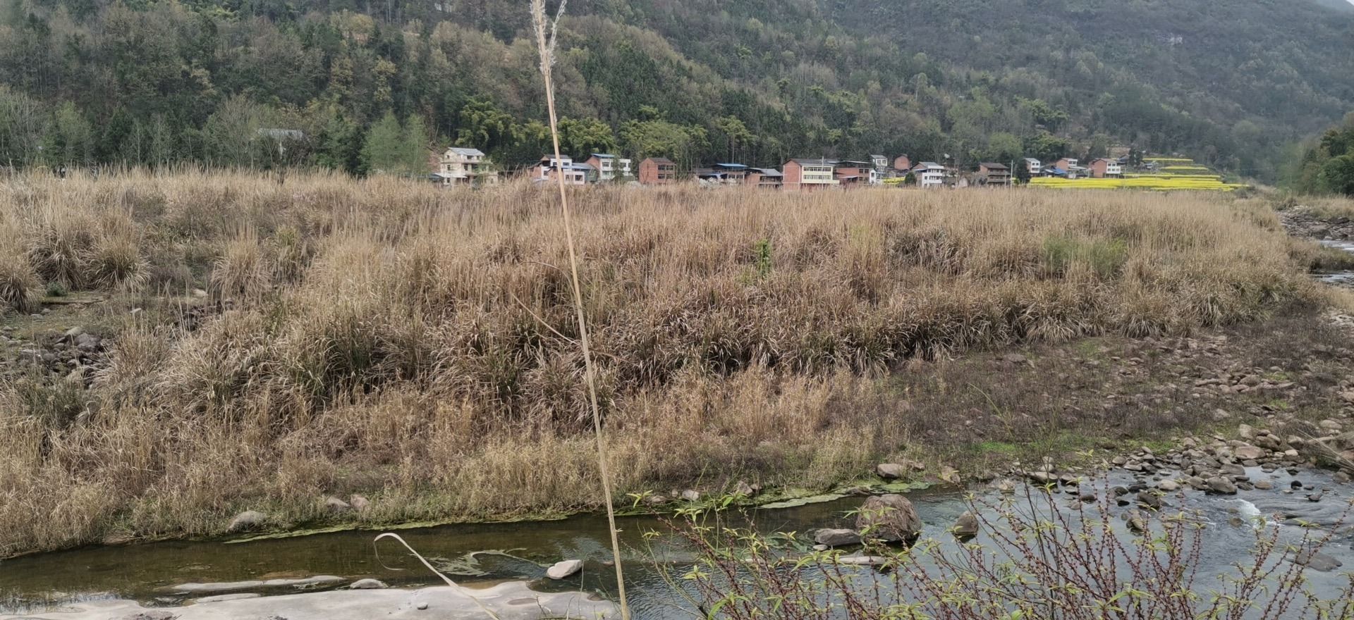 芦苇草堂旅行图片 2