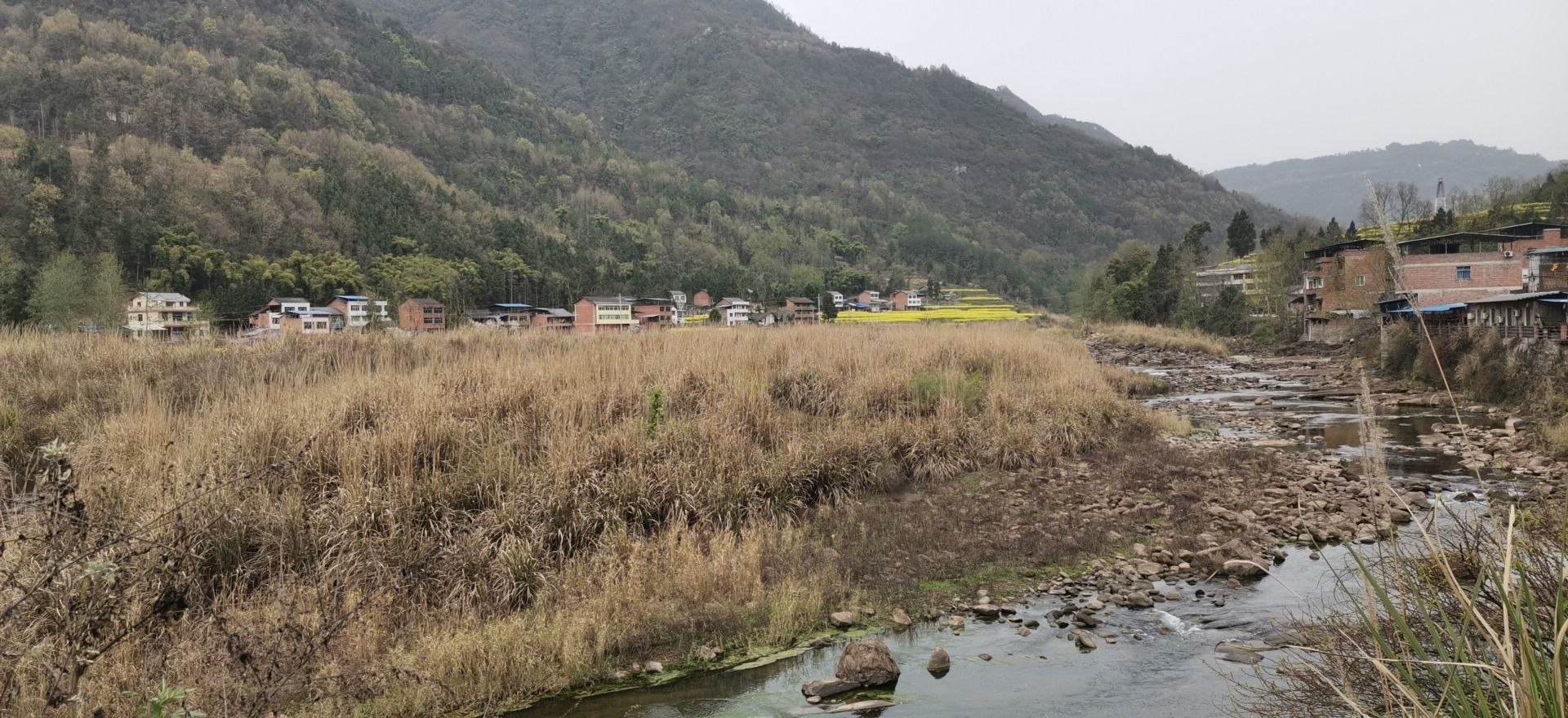 芦苇草堂旅行图片 3