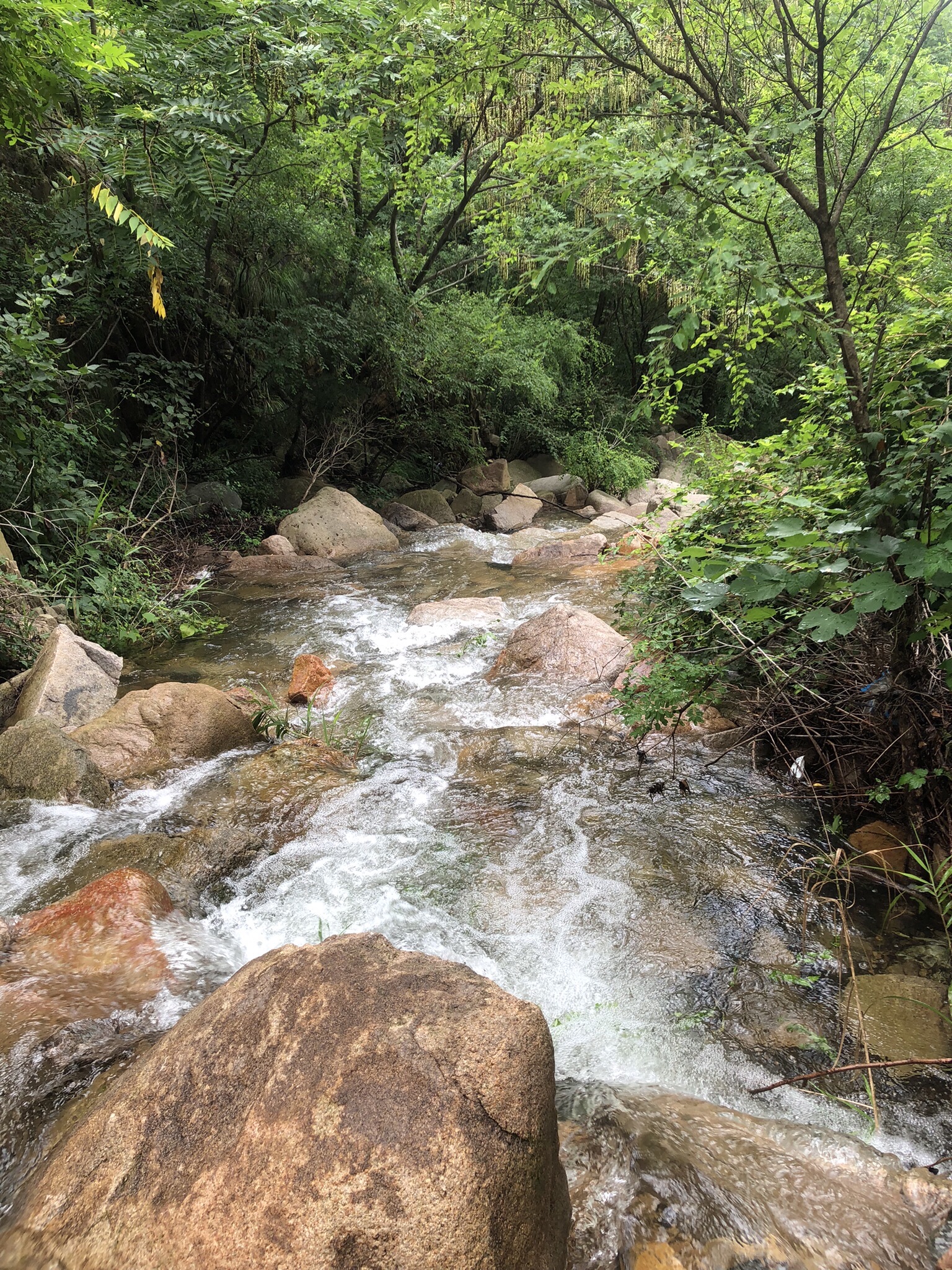 七涧谷旅行图片 1