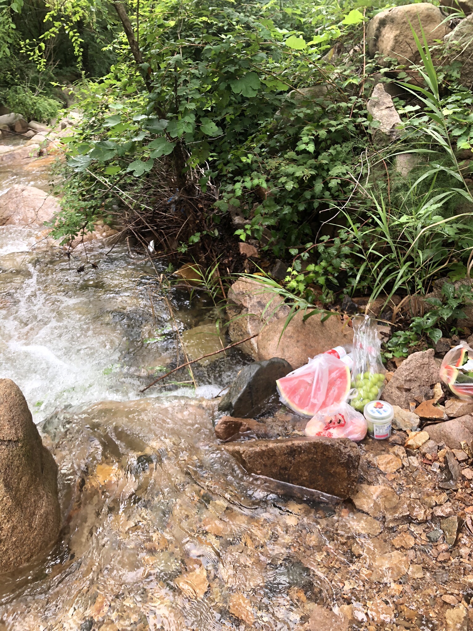 七涧谷旅行图片 2
