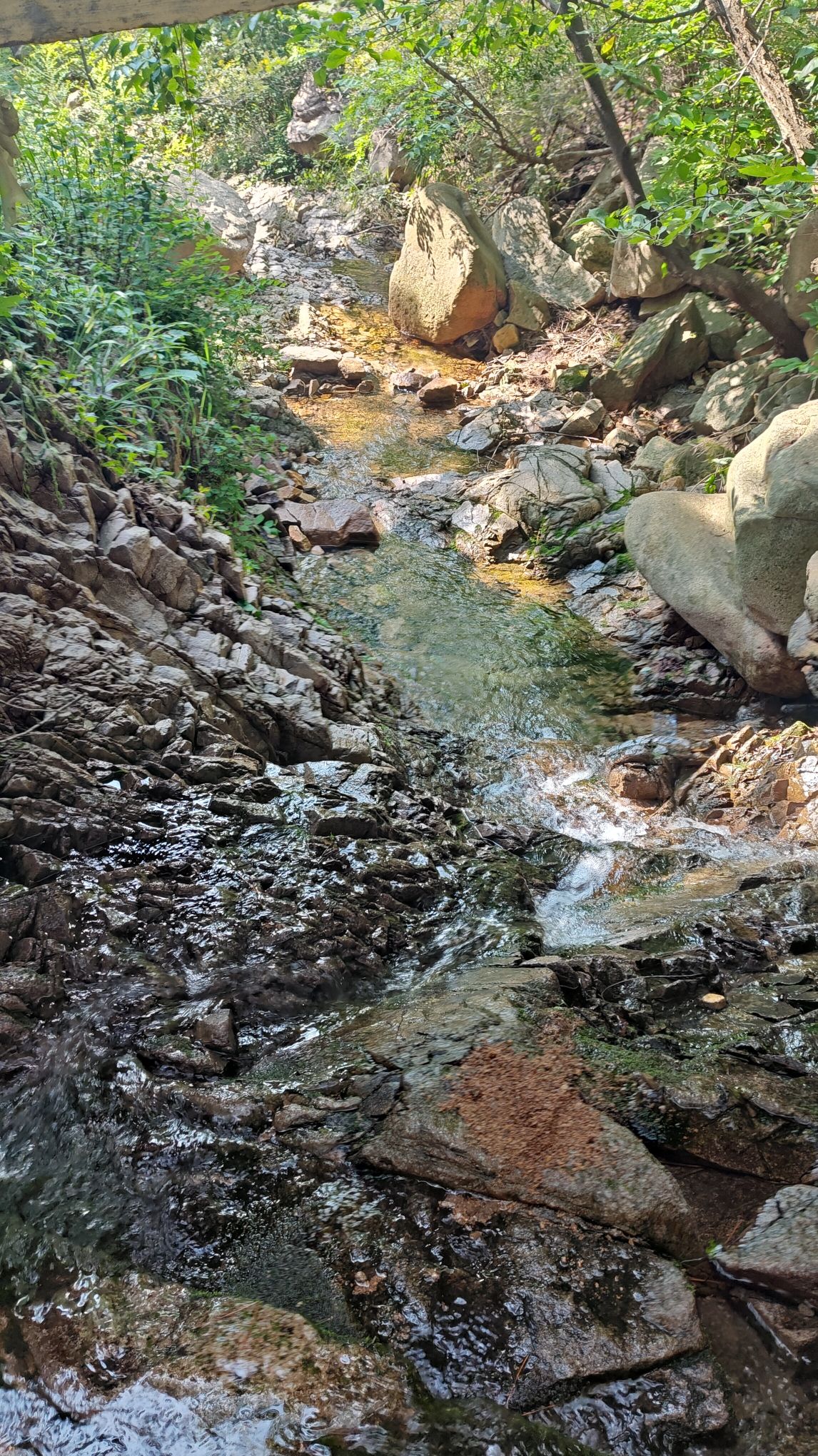 七涧谷旅行图片 3