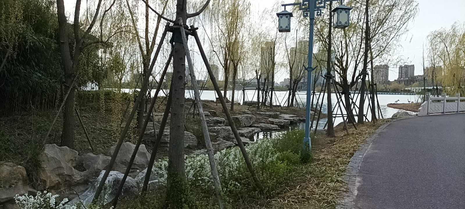 千鹤湖公园旅行图片 3