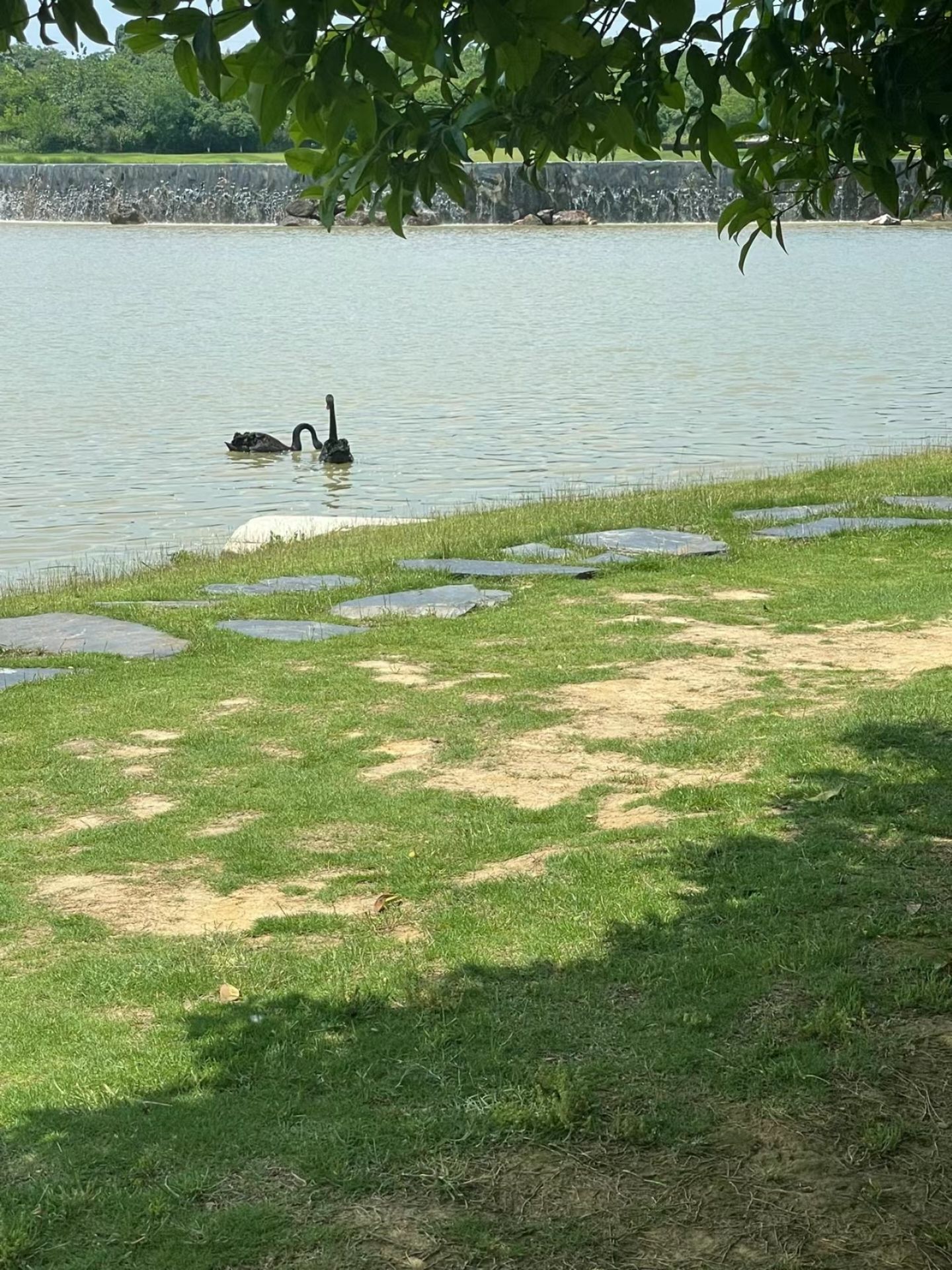 千鹤湖公园旅行图片 1