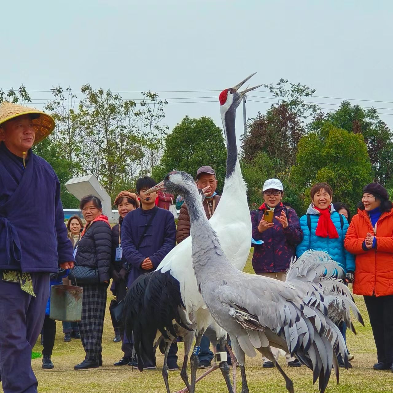 千鹤湖公园旅行图片 3