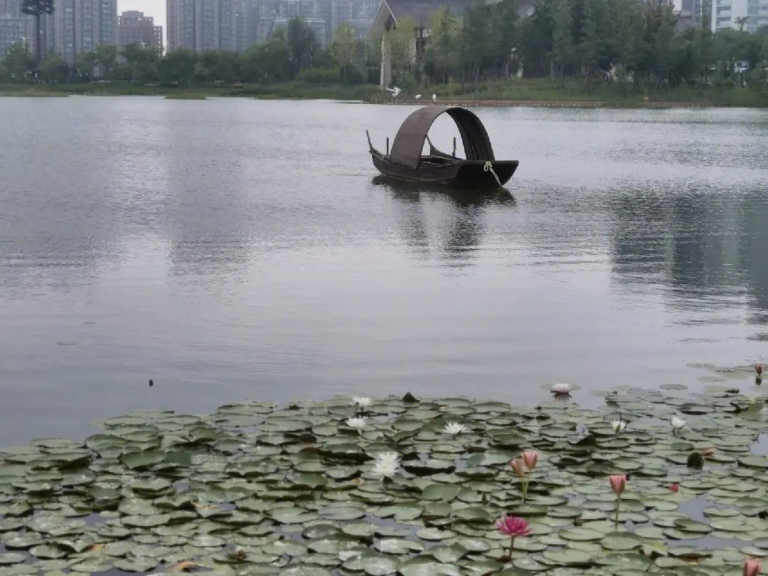 千鹤湖公园旅行图片 3