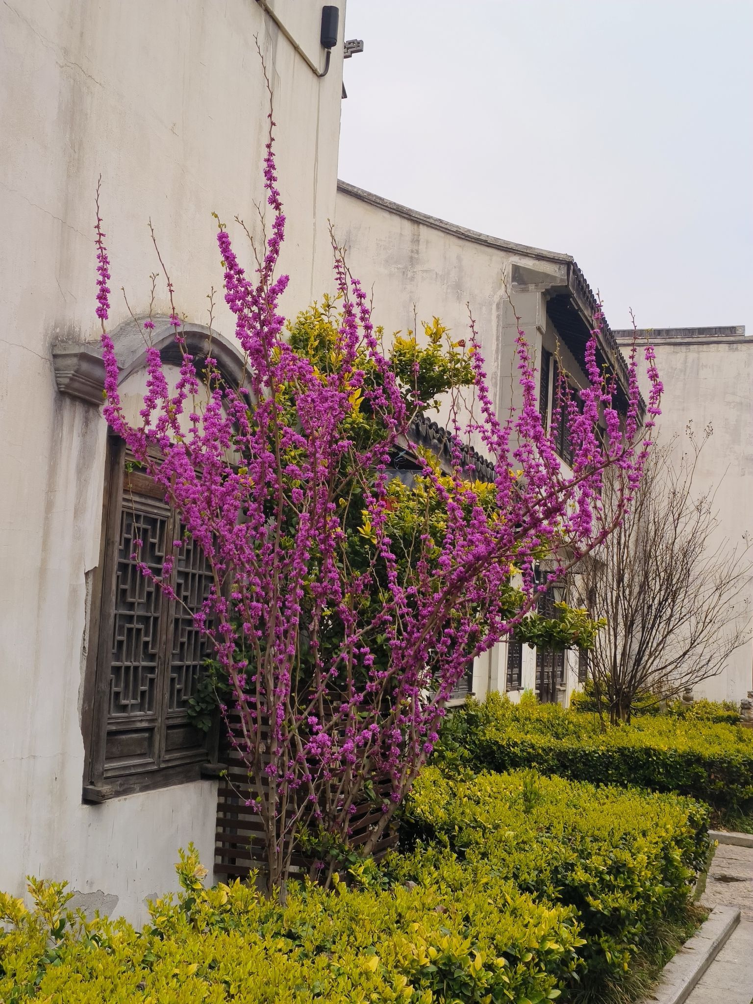 荣巷历史街区旅行图片 3