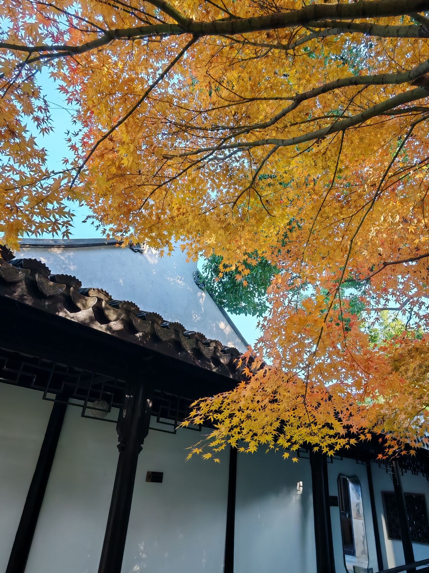 荣巷历史街区旅行图片 3