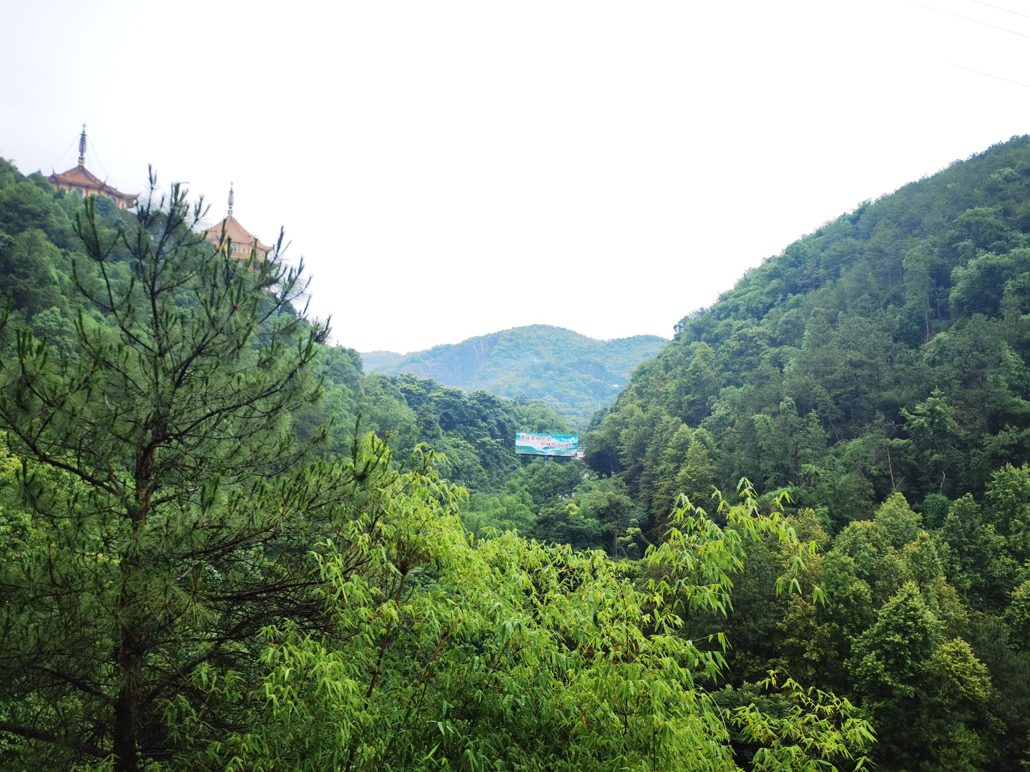 观音峡国家森林公园旅行图片 2