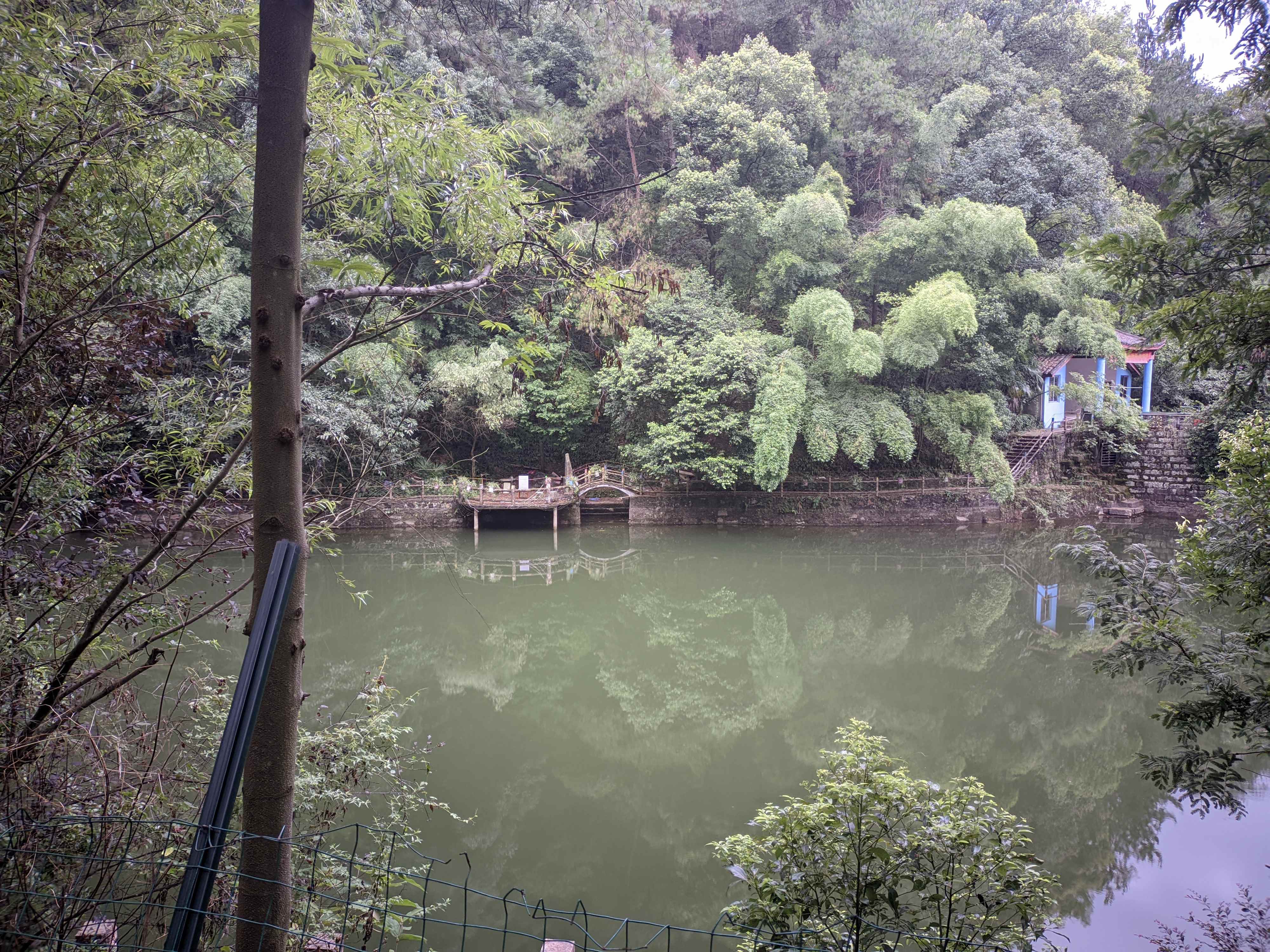 观音峡国家森林公园旅行图片 3
