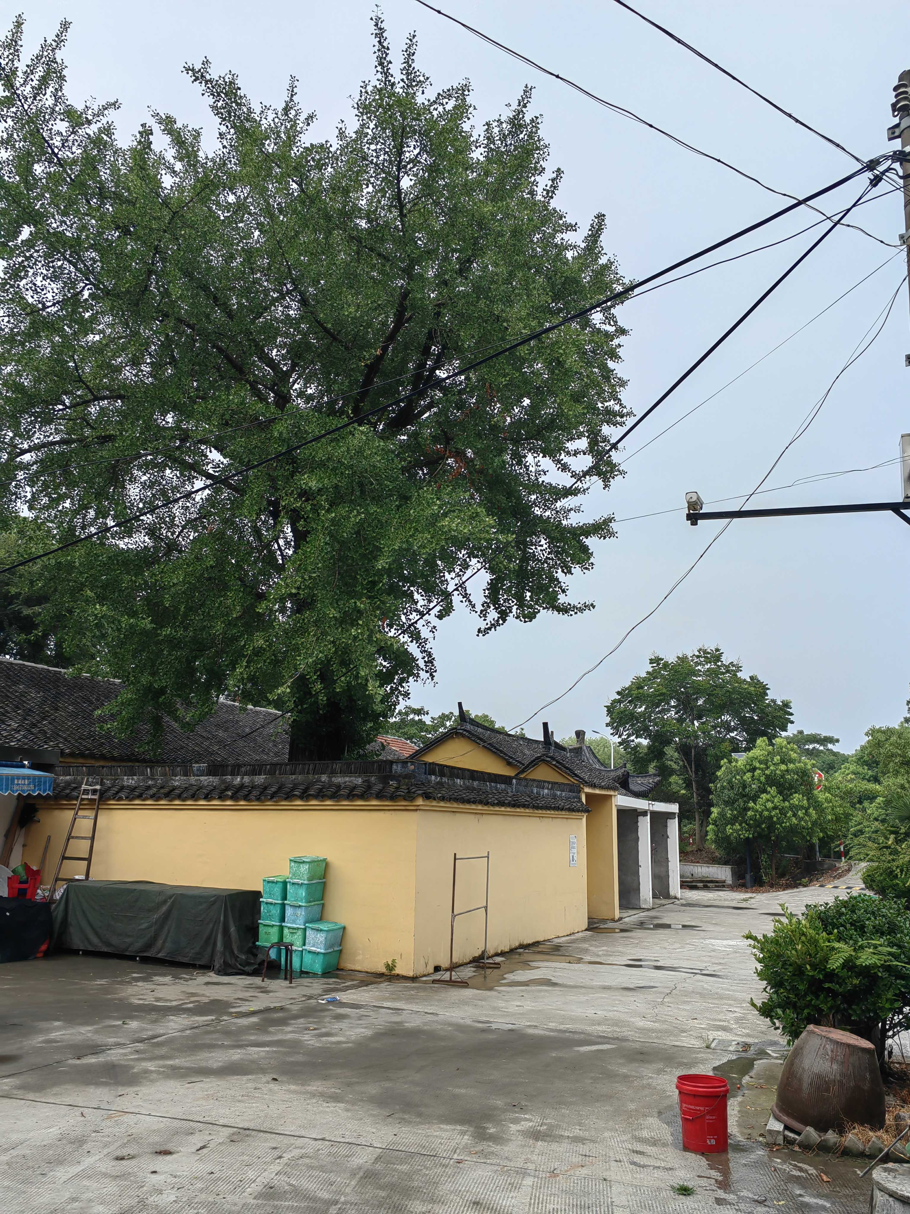 万寿庵旅行图片 3