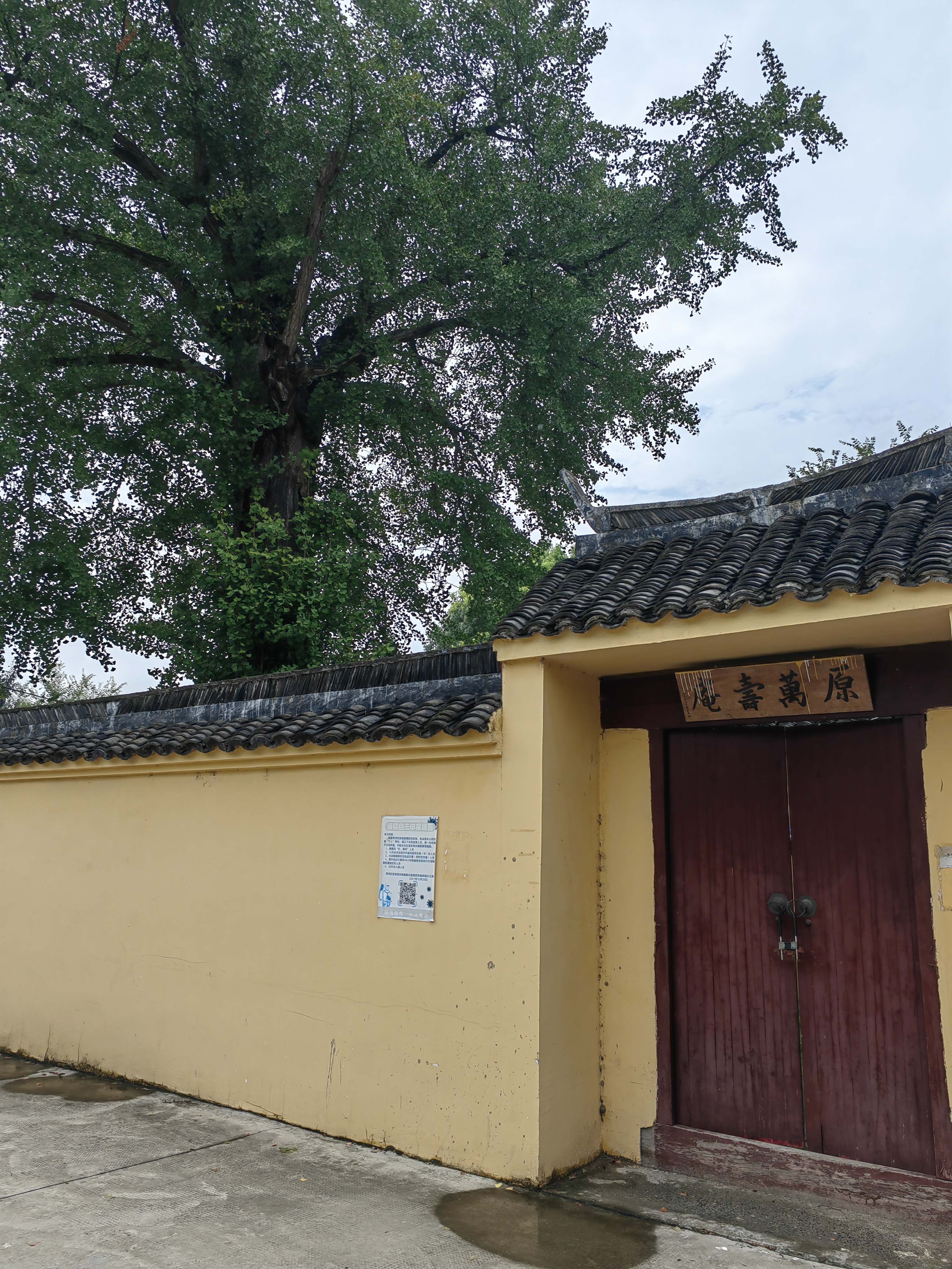 万寿庵旅行图片 2