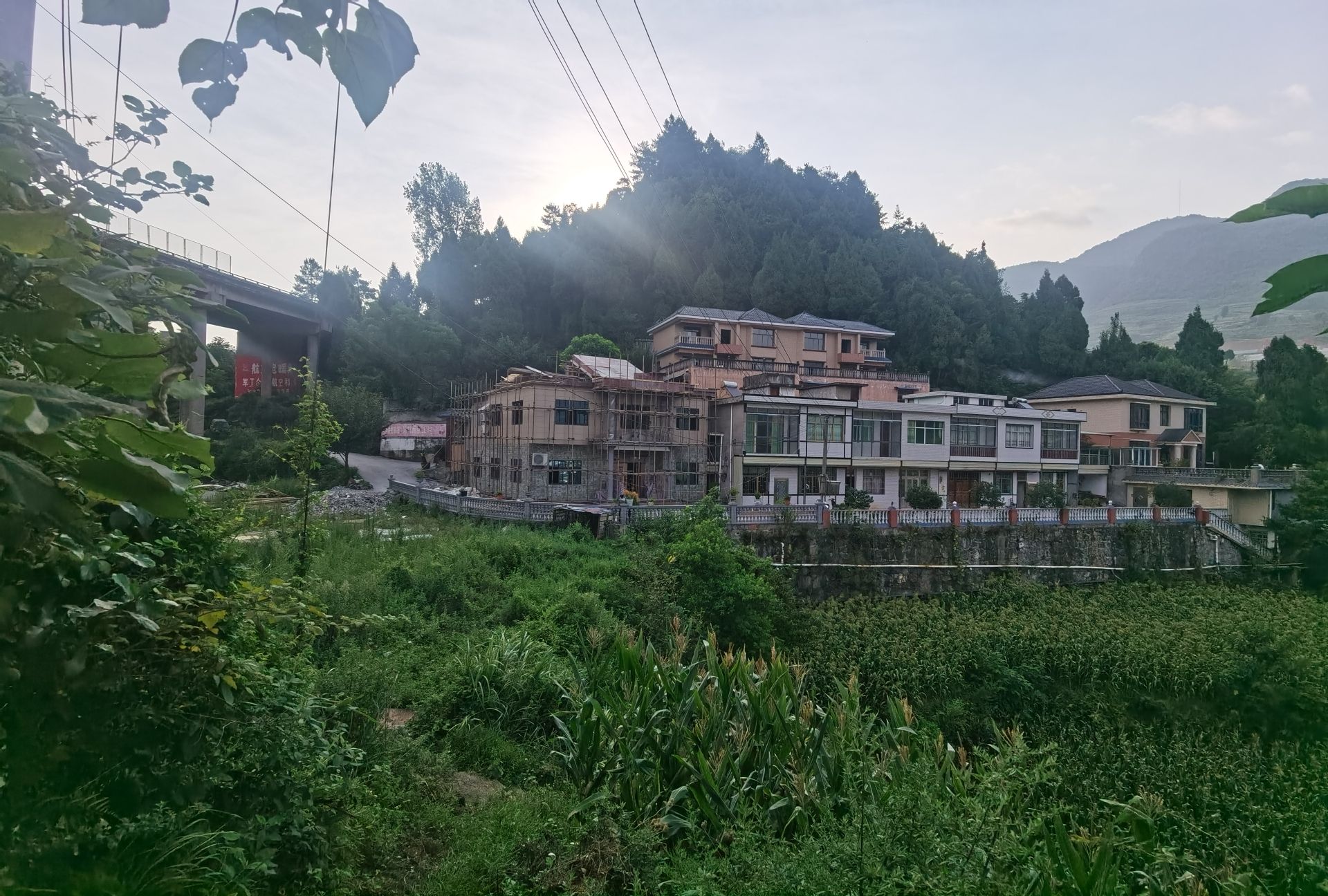 樟柏水库风景区旅行图片