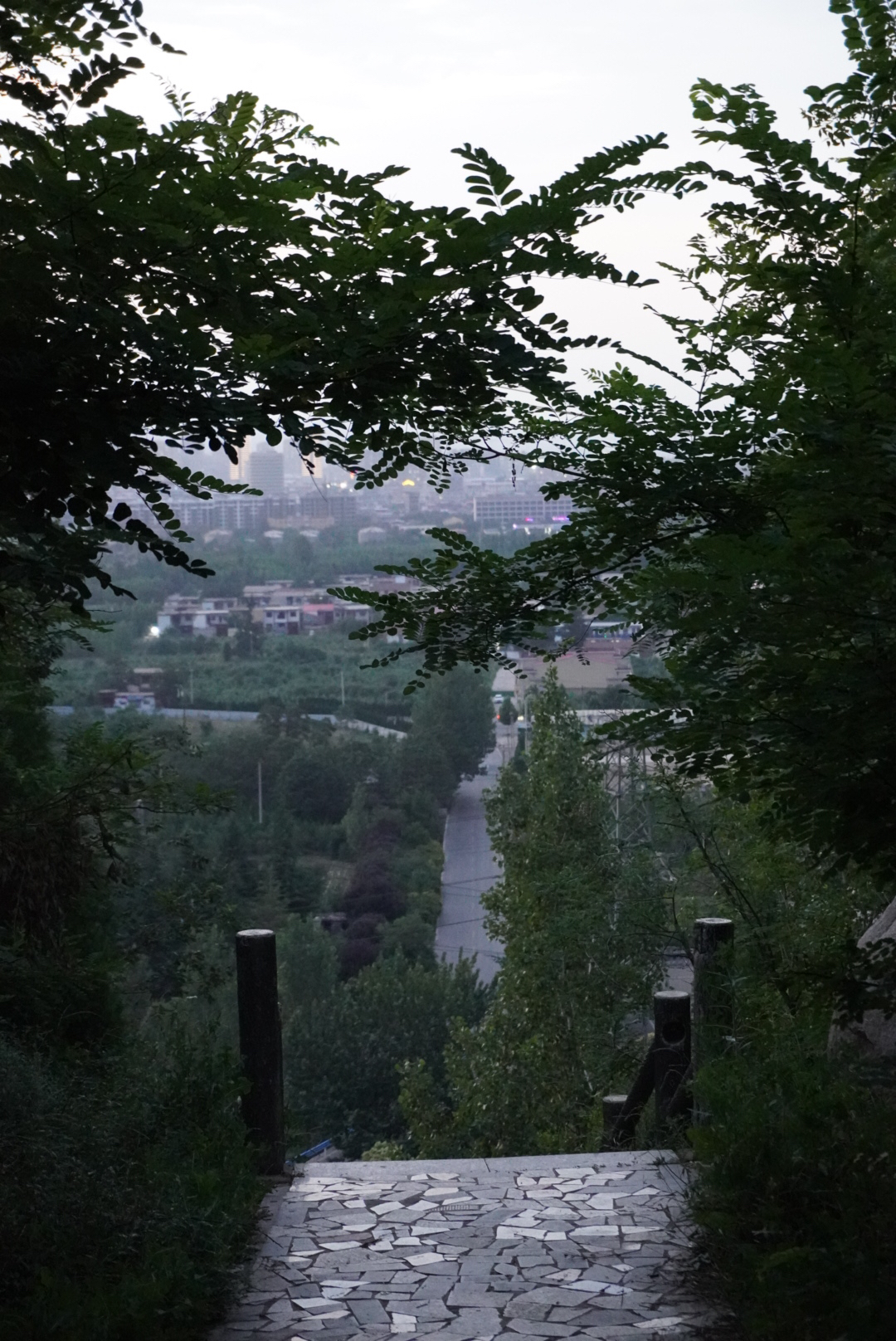 南郊公园旅行图片 1
