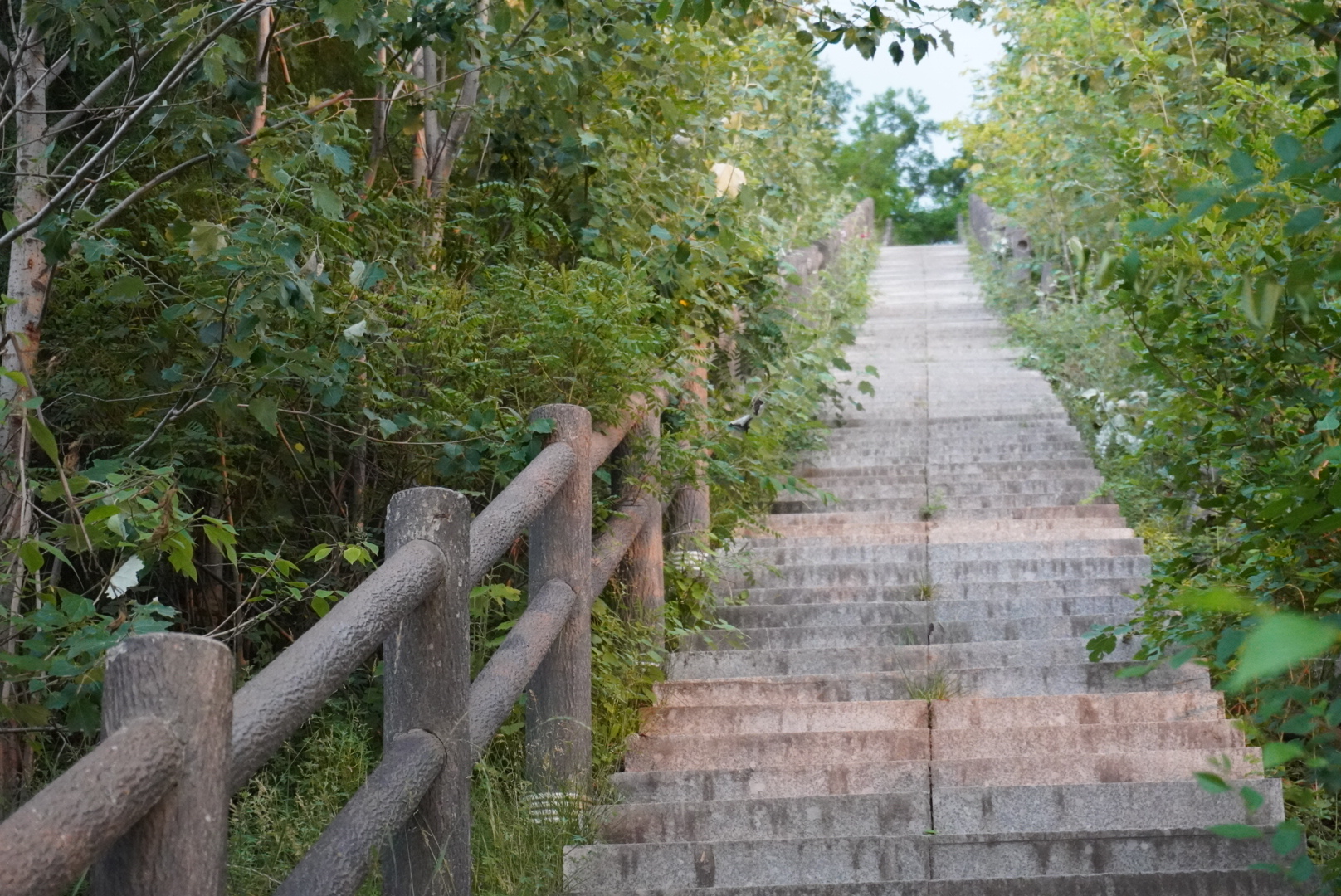 南郊公园旅行图片 3