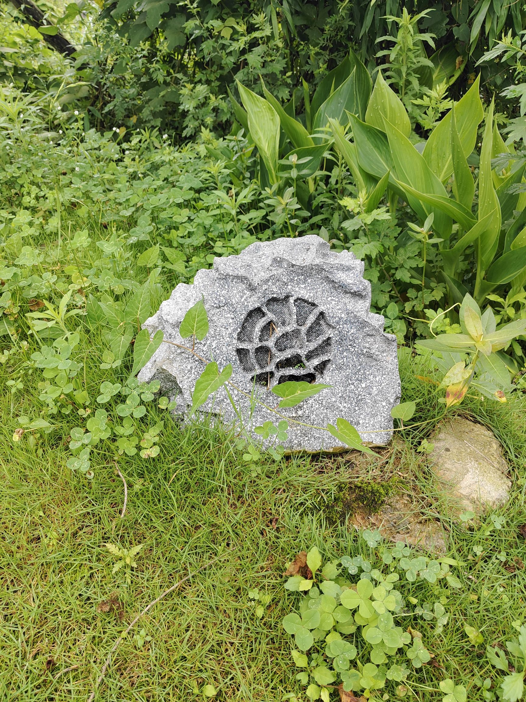 白虎山山体公园旅行图片 3