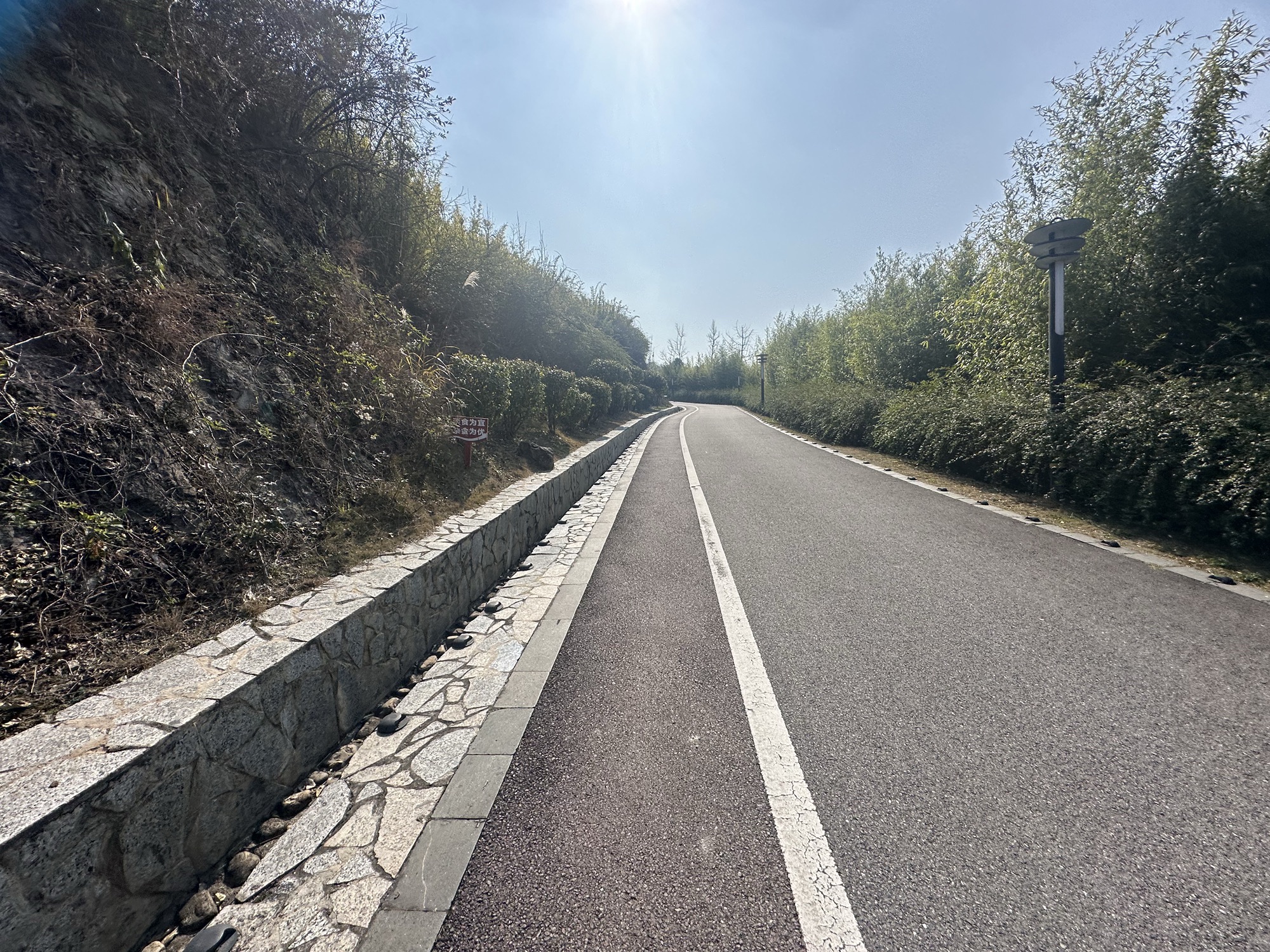 白虎山山体公园旅行图片 2