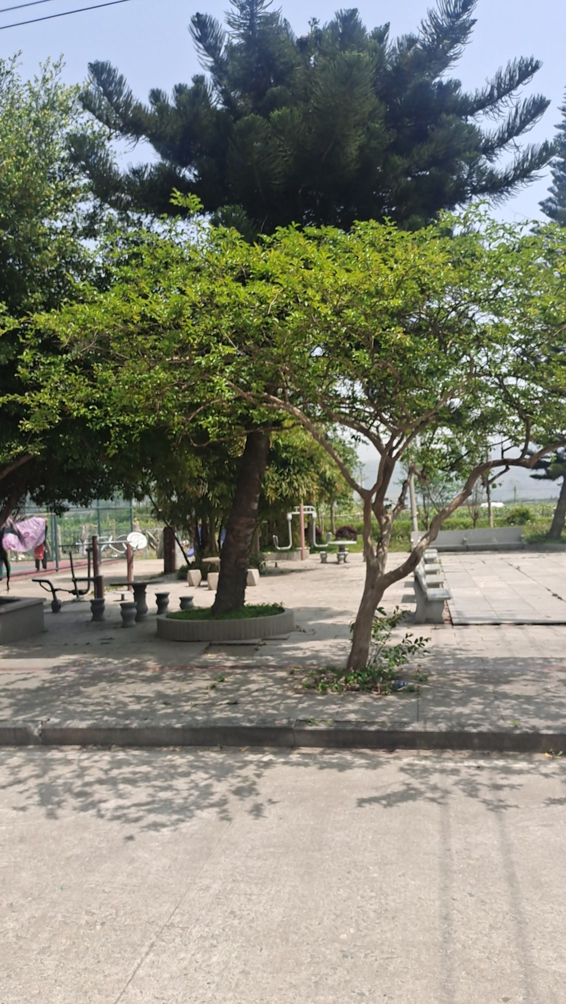 东岱南门公园旅行图片